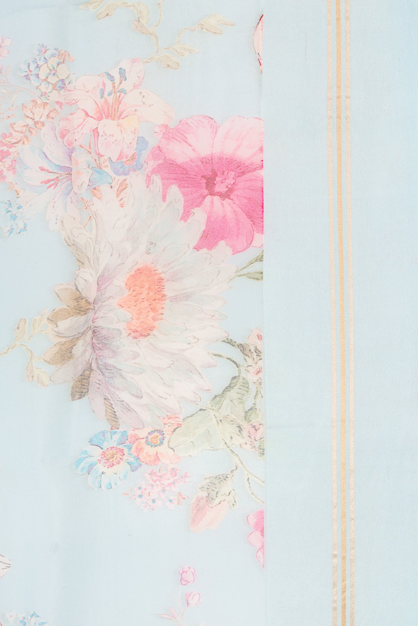 Border image of Sky Blue Dual Tone Organza Silk Saree with Printed design on the body and Zari And Thread Border. 