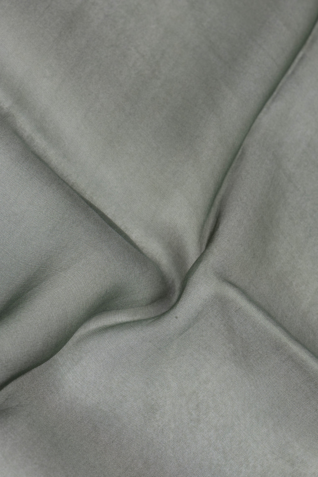 Close up of Green Organza Silk Saree with Plain Body and Printed Border.  displaying folds