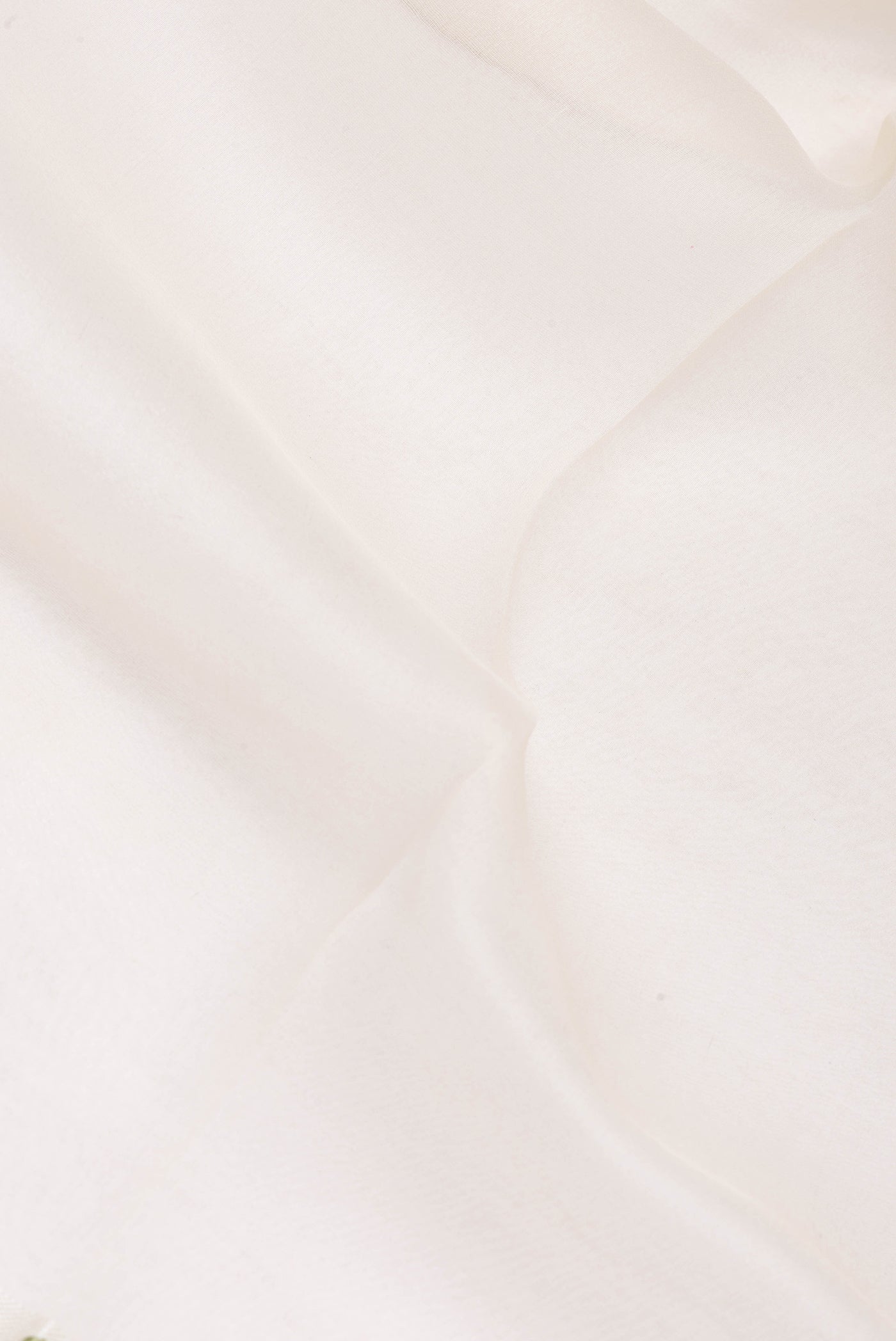 Close up of Beige Organza Silk Saree with Plain Body and Printed Border.  displaying folds