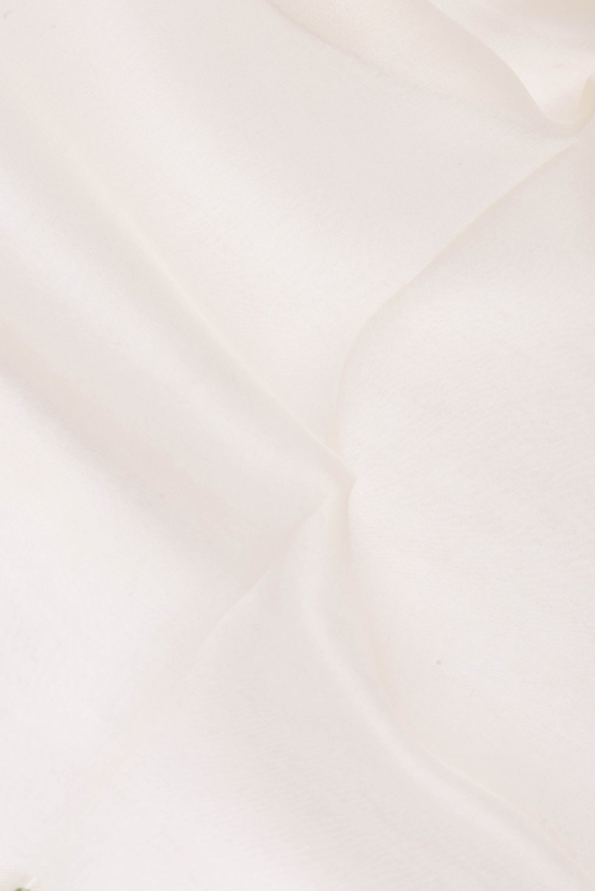 Close up of Beige Organza Silk Saree with Plain Body and Printed Border.  displaying folds