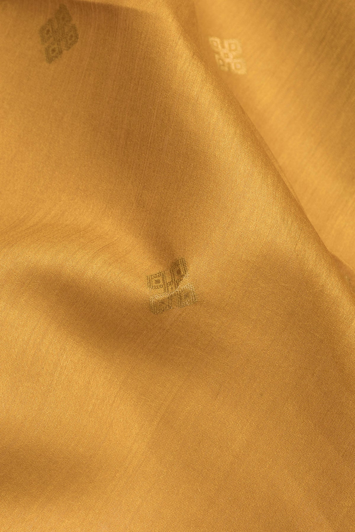 Close up of Mustard Dual Tone Tussar Silk Saree with Zari Butta on the body and Fancy Border.  displaying folds