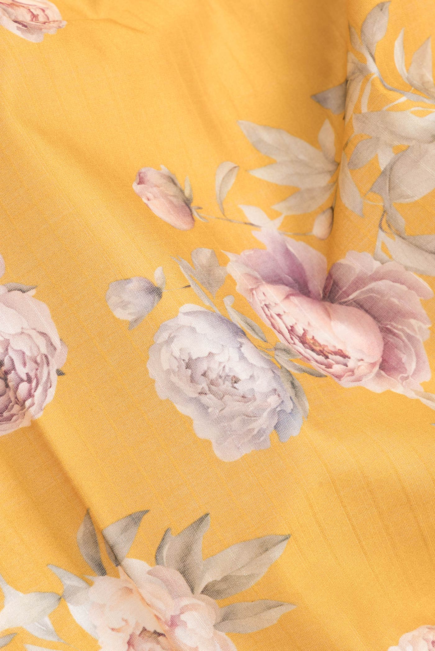 Close up of Mustard Dual Tone Chanderi Silk Saree with Printed design on the body and Zari And Thread Border.  displaying folds
