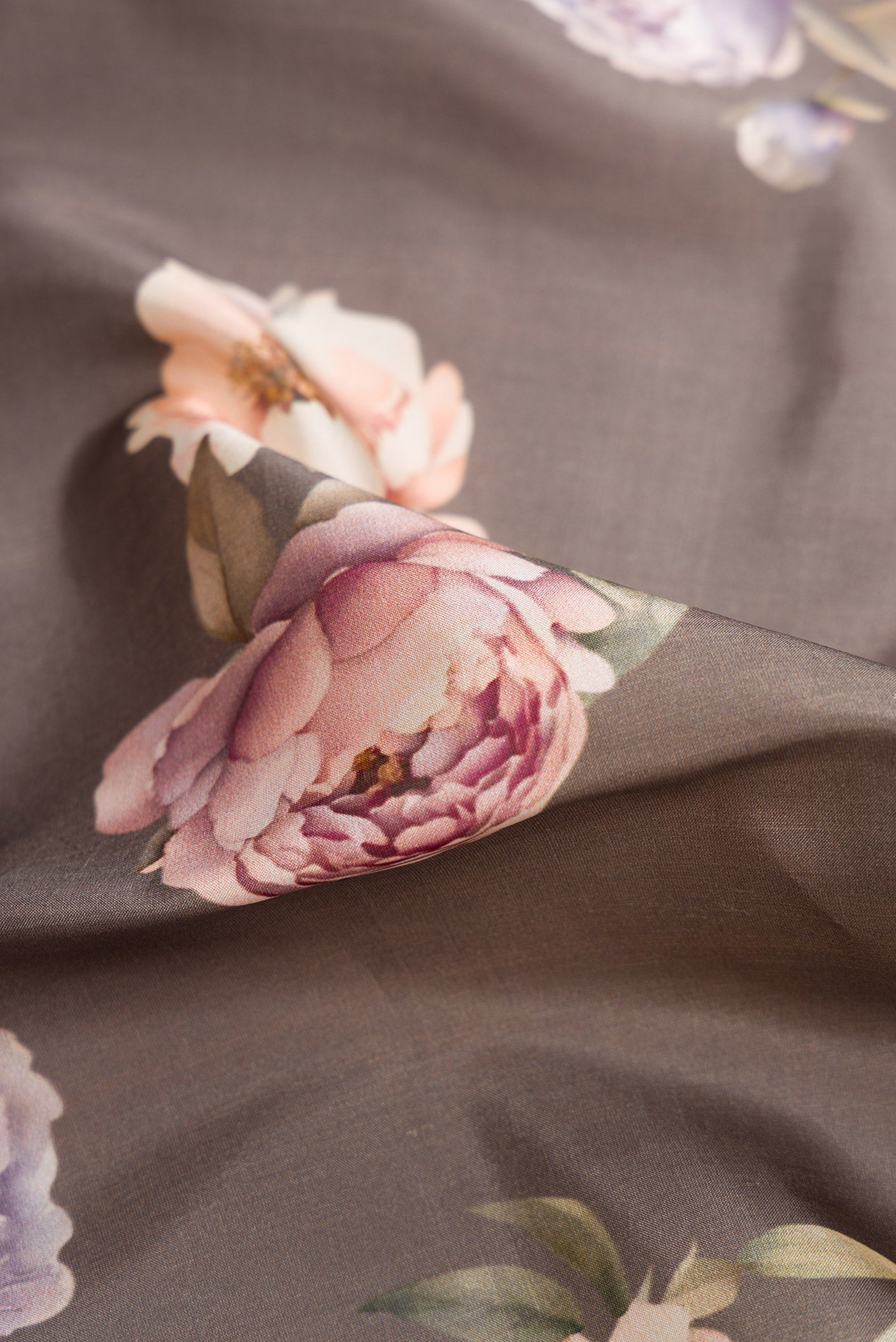 Close up of Grey Dual Tone Kanchipuram Silk Saree with Printed design on the body and Zari Border.  displaying folds