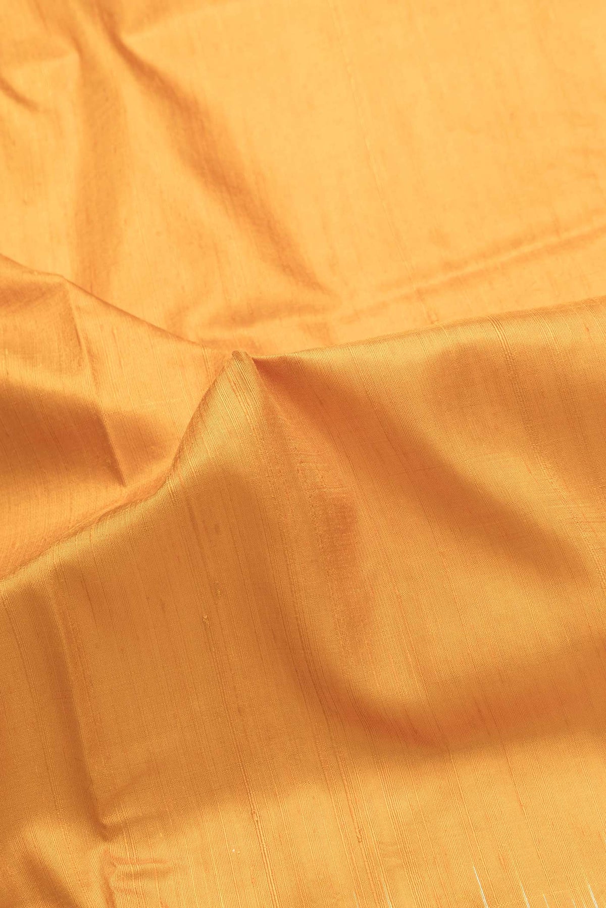 Close up of Mustard Dual Tone Tussar Silk Saree with Plain Body and Printed Border.  displaying folds