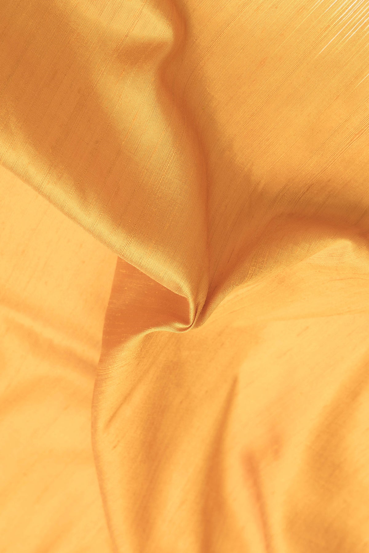 Close up of Yellow Tussar Silk Saree with Plain Body and Zari Border.  displaying folds