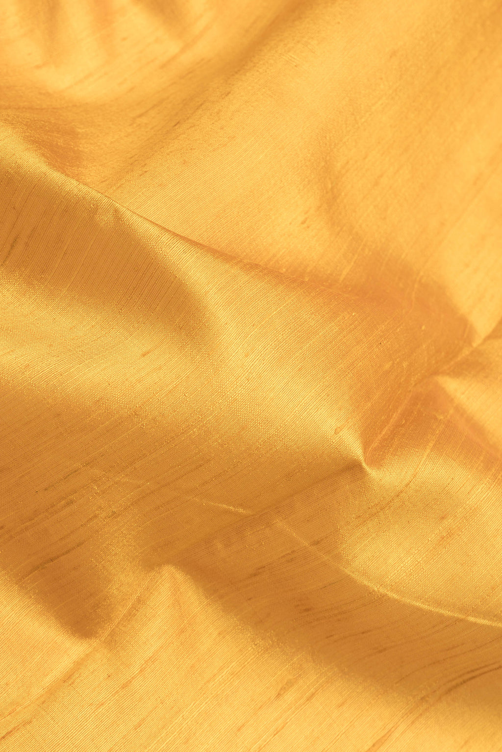 Close up of Yellow Tussar Silk Saree with Plain Body and Fancy Border.  displaying folds