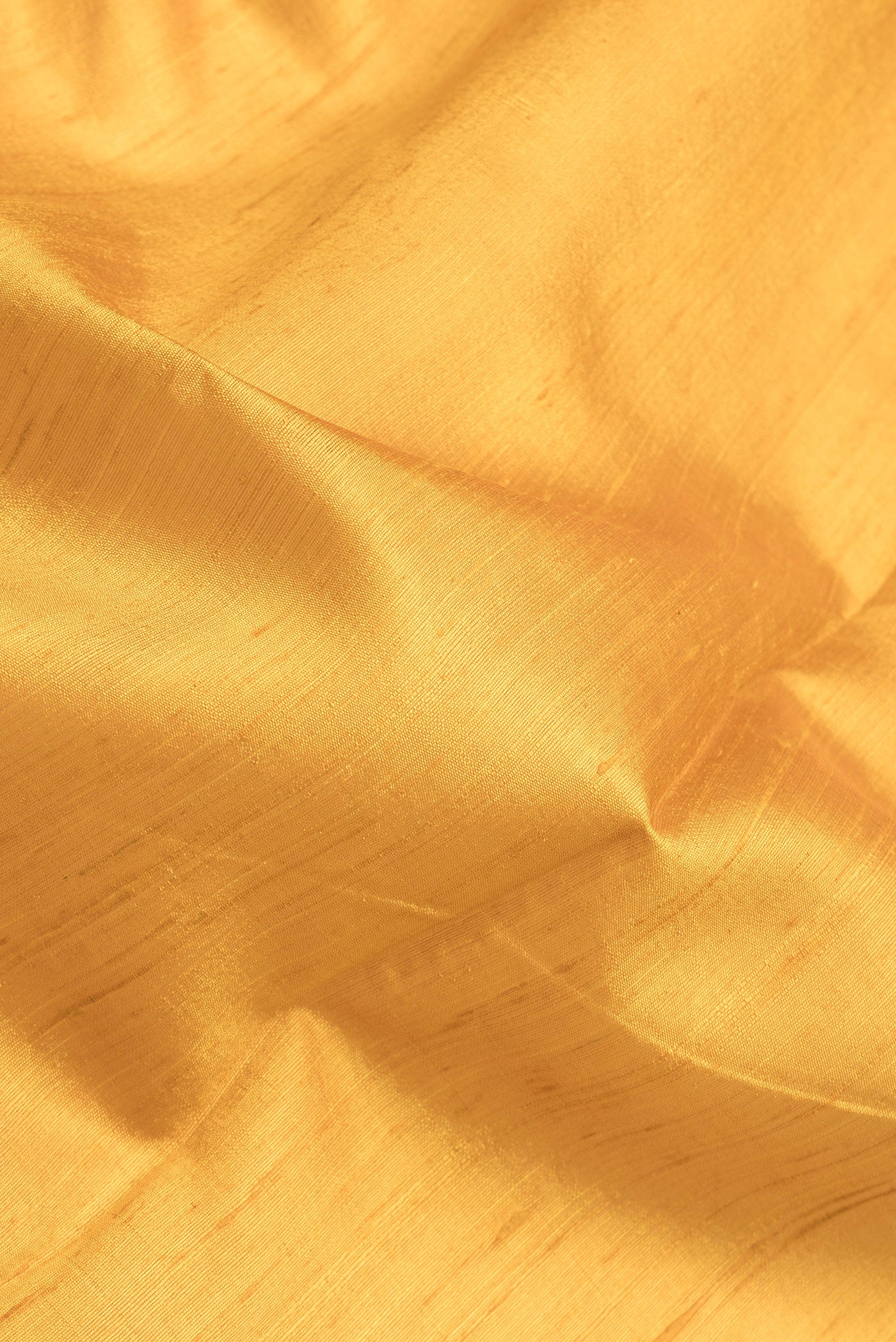Close up of Yellow Tussar Silk Saree with Plain Body and Fancy Border.  displaying folds