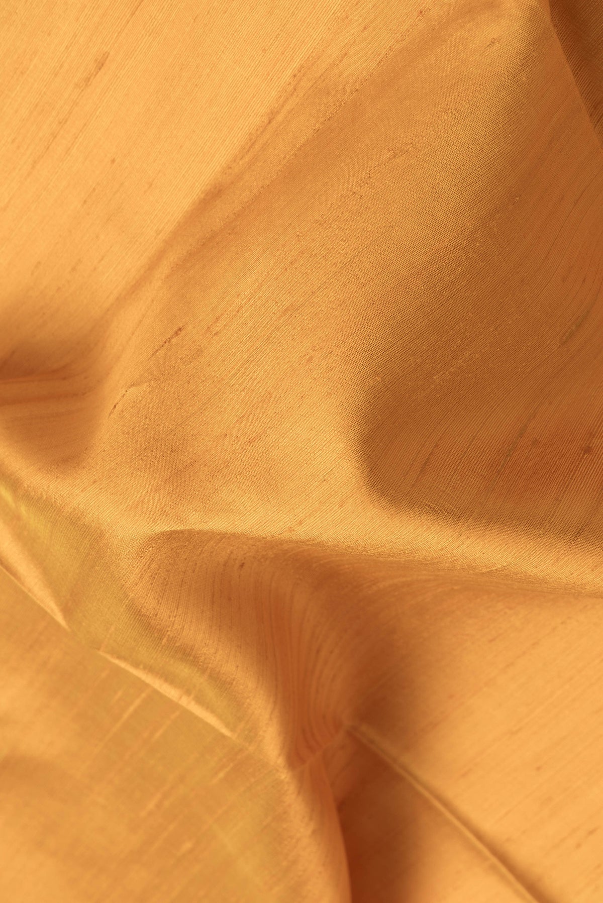 Close up of Mustard Dual Tone Raw Silk Saree with Plain Body and Thin Zari Line.  displaying folds