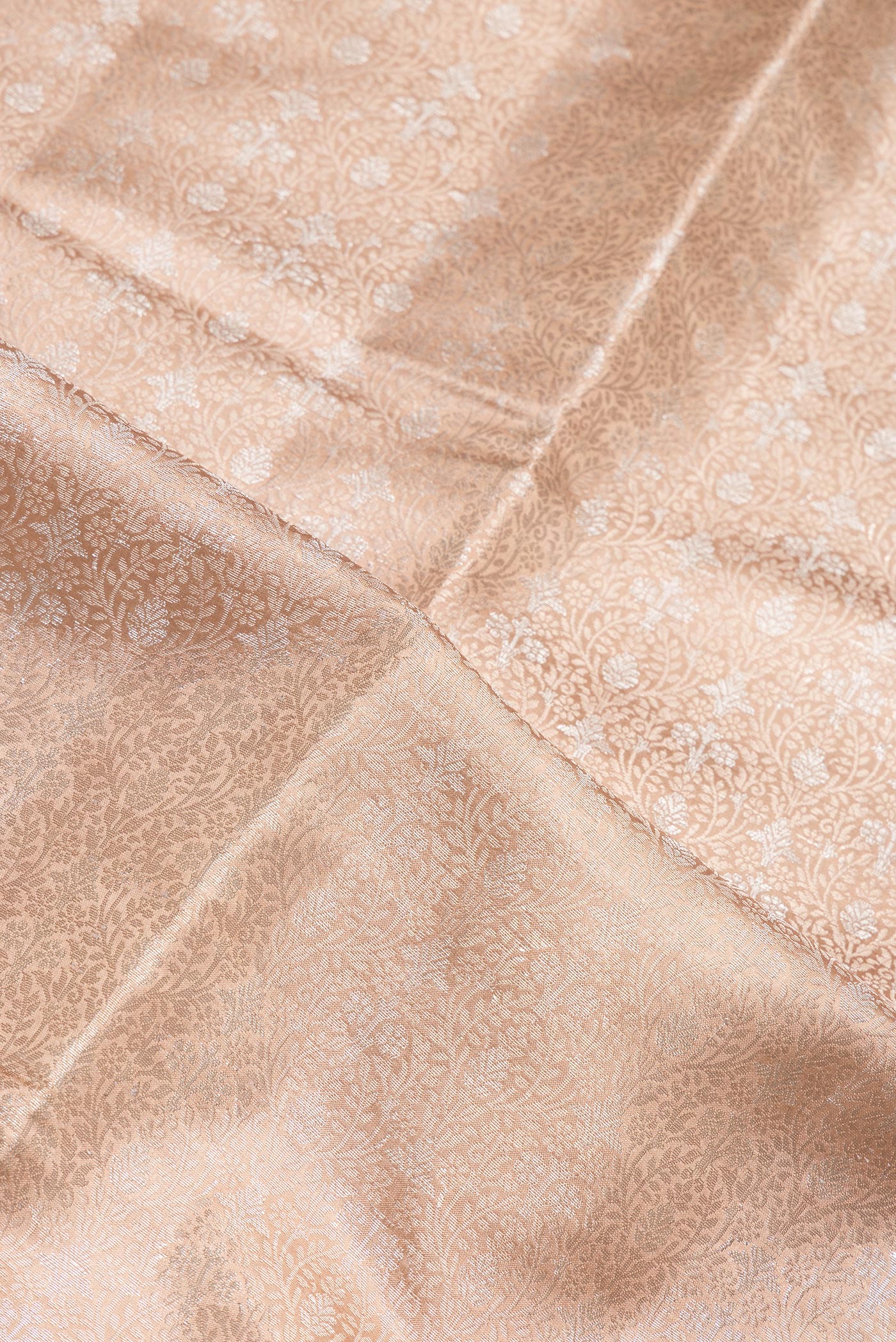 Close up of Beige Dual Tone Tussar Silk Saree with Zari Brocade on the body and Zari Border.  displaying folds