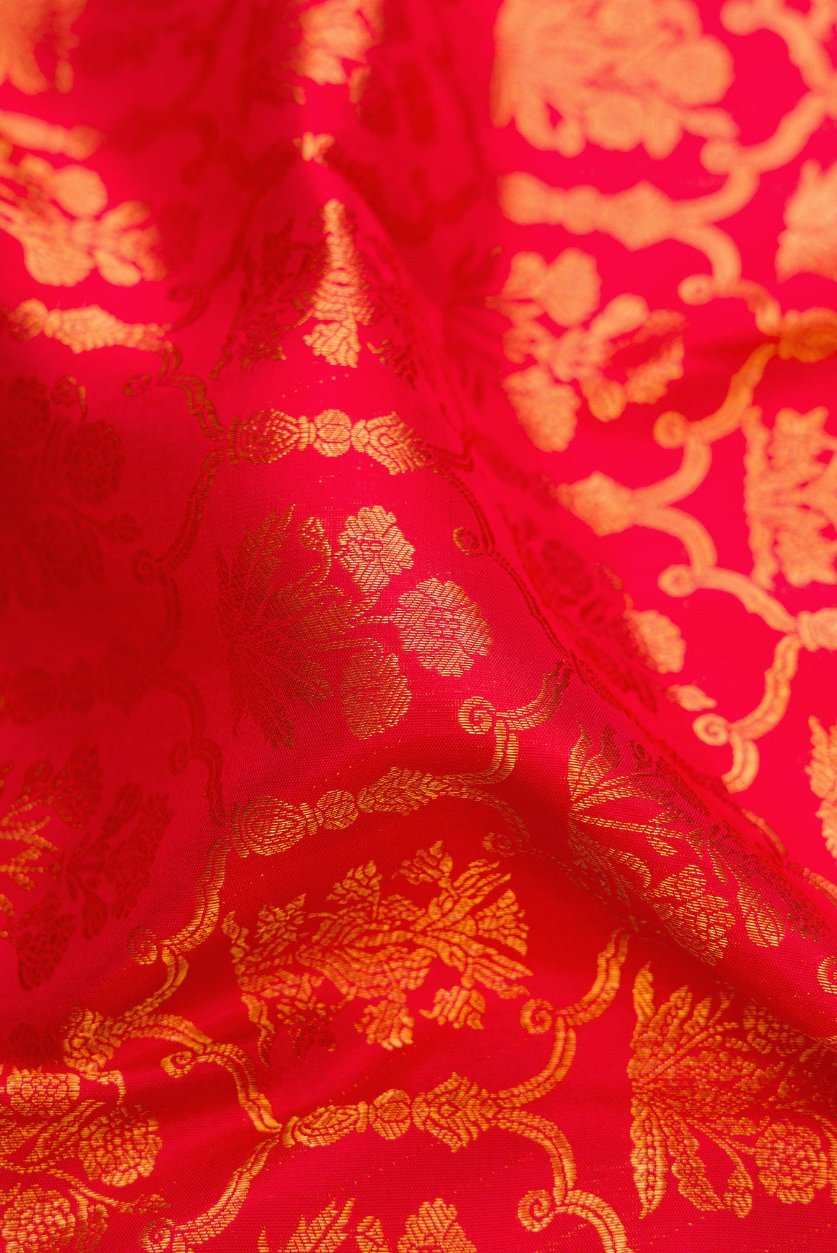 Close up of Red Kanchipuram Silk Saree with Zari Brocade on the body and Zari Border.  displaying folds