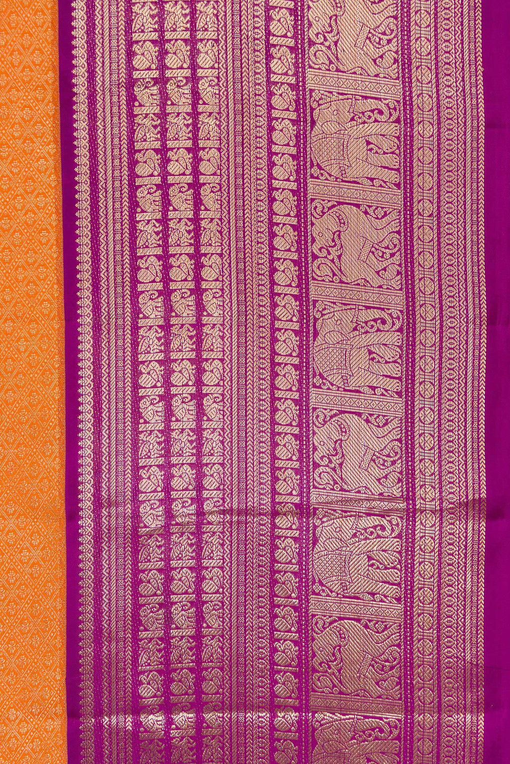 Border image of Orange Dual Tone Kanchipuram Silk Saree with Zari Brocade on the body and Zari Border. 