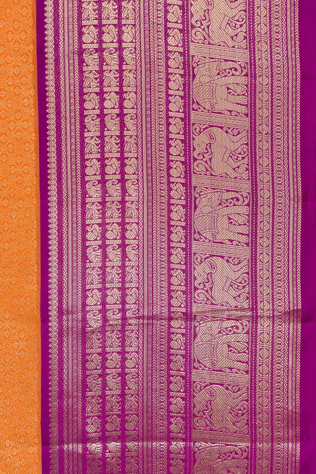 Border image of Orange Dual Tone Kanchipuram Silk Saree with Zari Brocade on the body and Zari Border. 