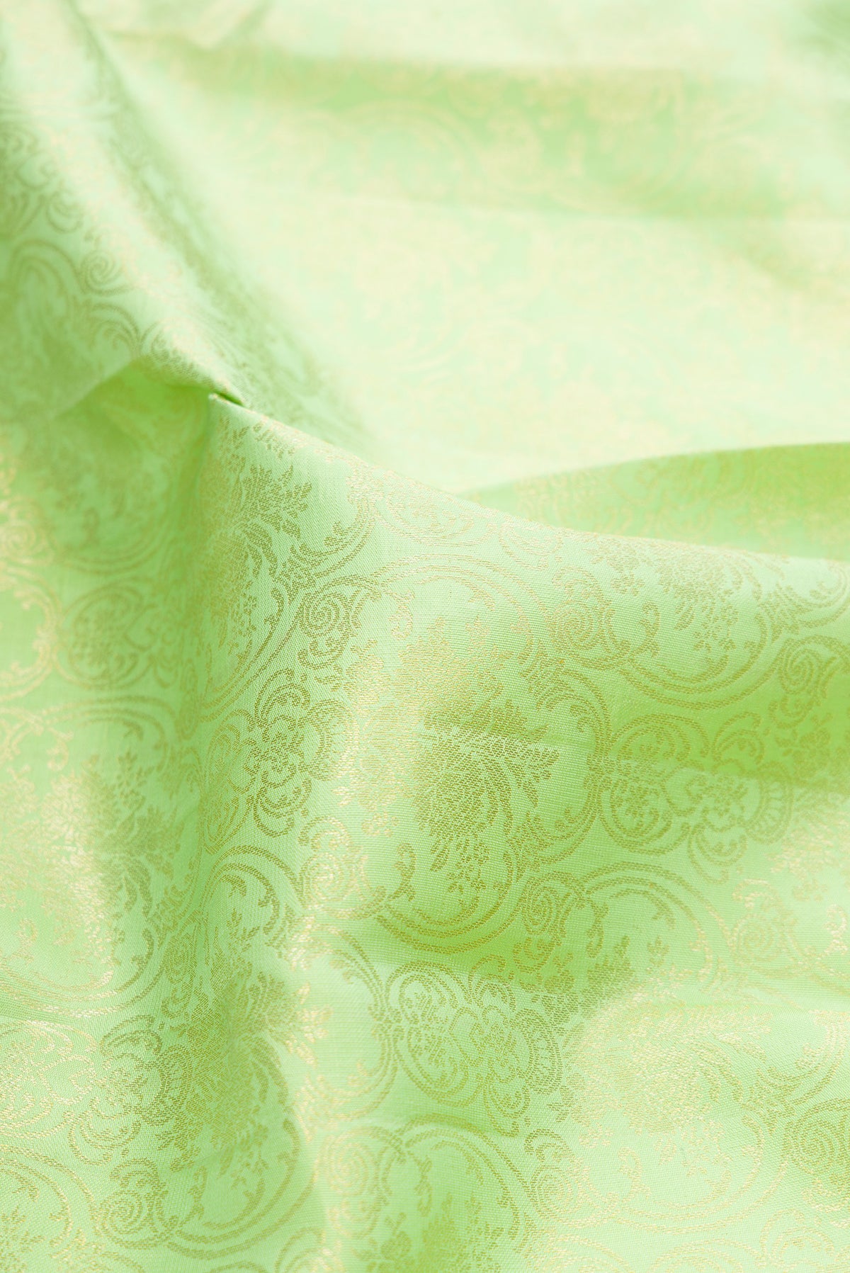 Close up of Parrot Green Dual Tone Kanjivaram Silk Saree with Zari Brocade on the body and Zari Border.  displaying folds