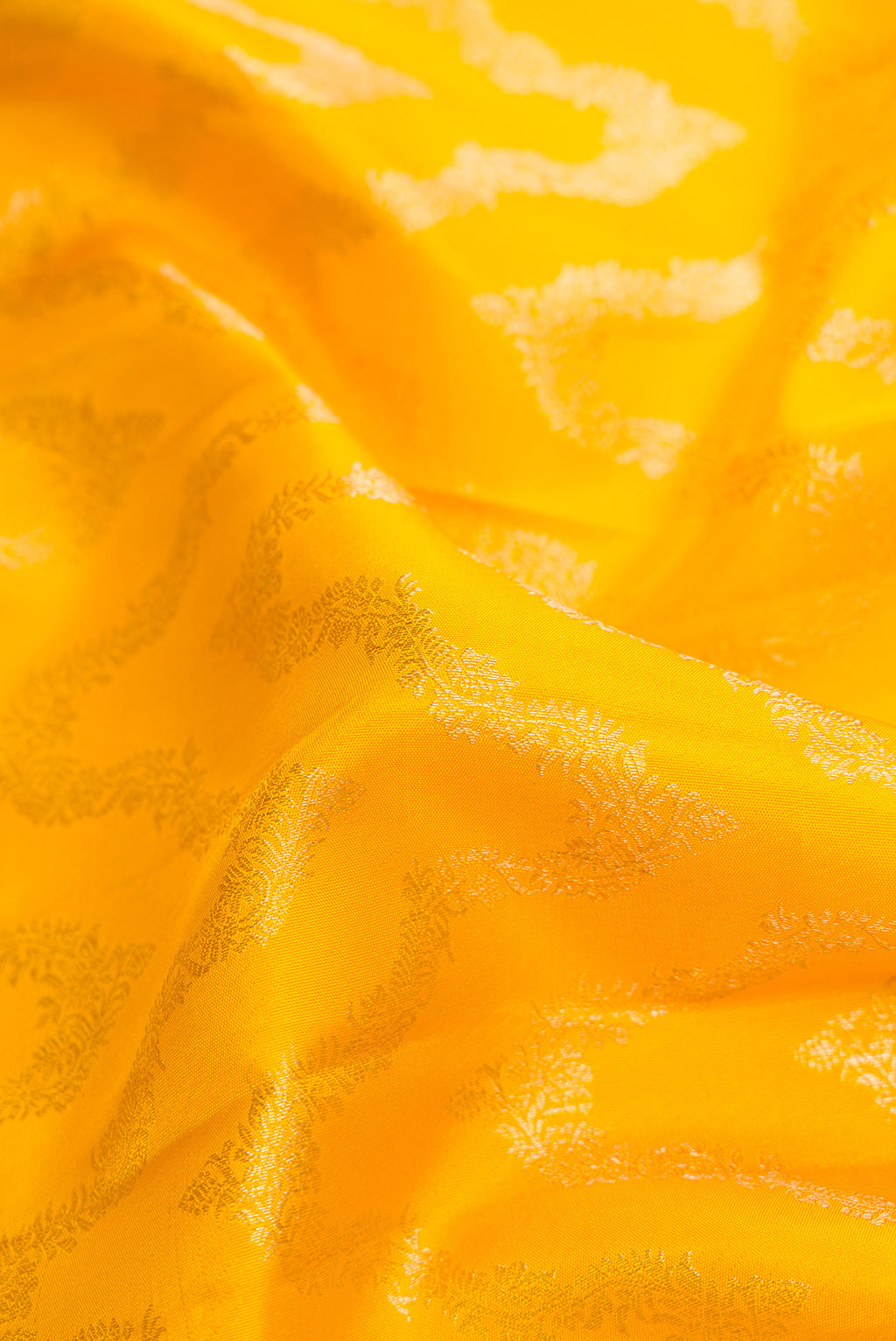 Close up of Yellow Dual Tone Kanjivaram Silk Saree with Zari Brocade on the body and Zari Border.  displaying folds