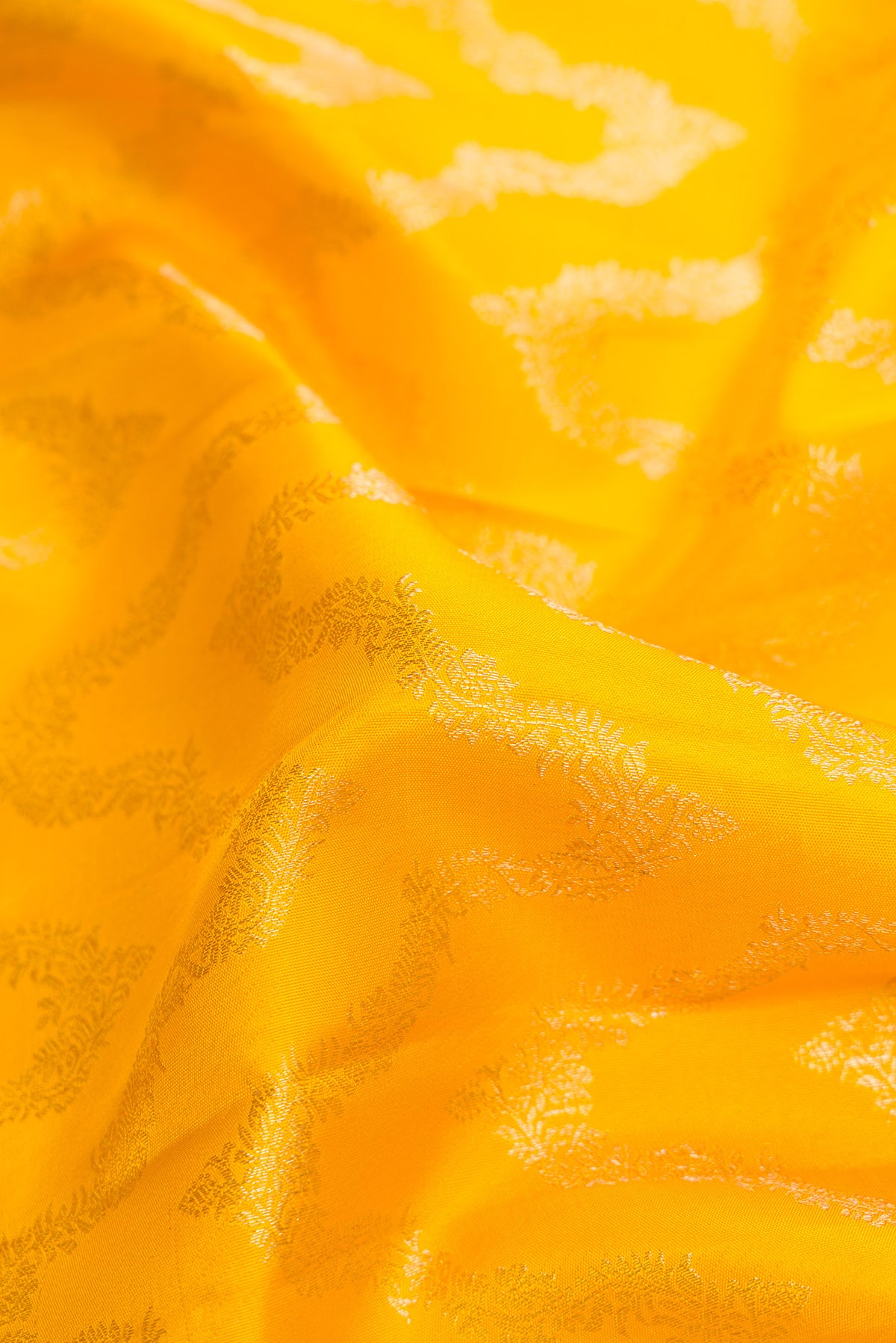 Close up of Yellow Dual Tone Kanjivaram Silk Saree with Zari Brocade on the body and Zari Border.  displaying folds