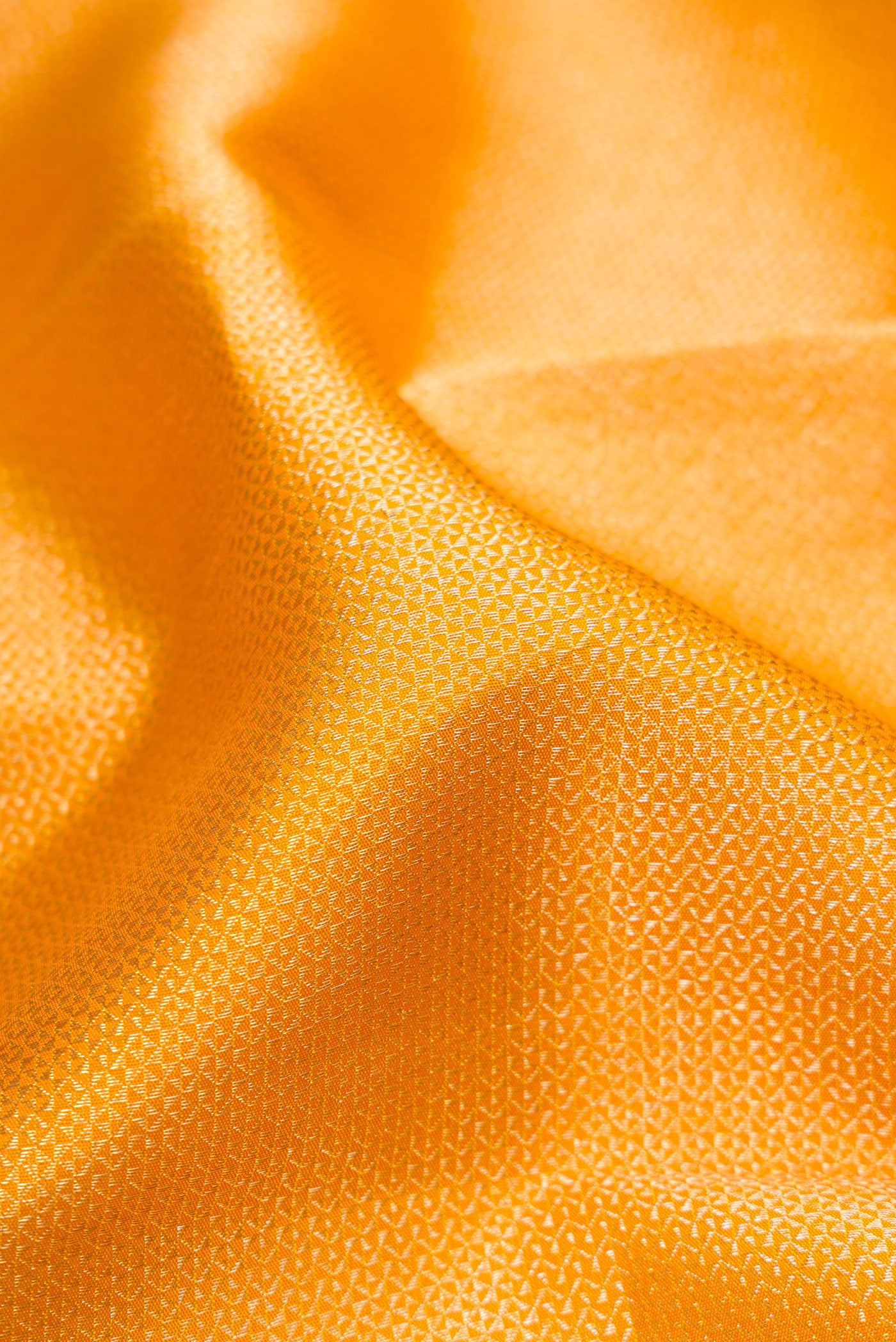 Close up of Mustard Kanjivaram Silk Saree with Zari Brocade on the body and Zari Border.  displaying folds