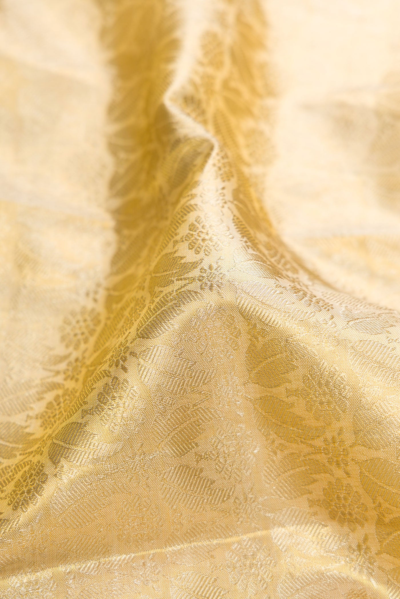 Close up of Gold Kanchipuram Tissue Silk Saree with Zari Brocade on the body and Fancy Border.  displaying folds