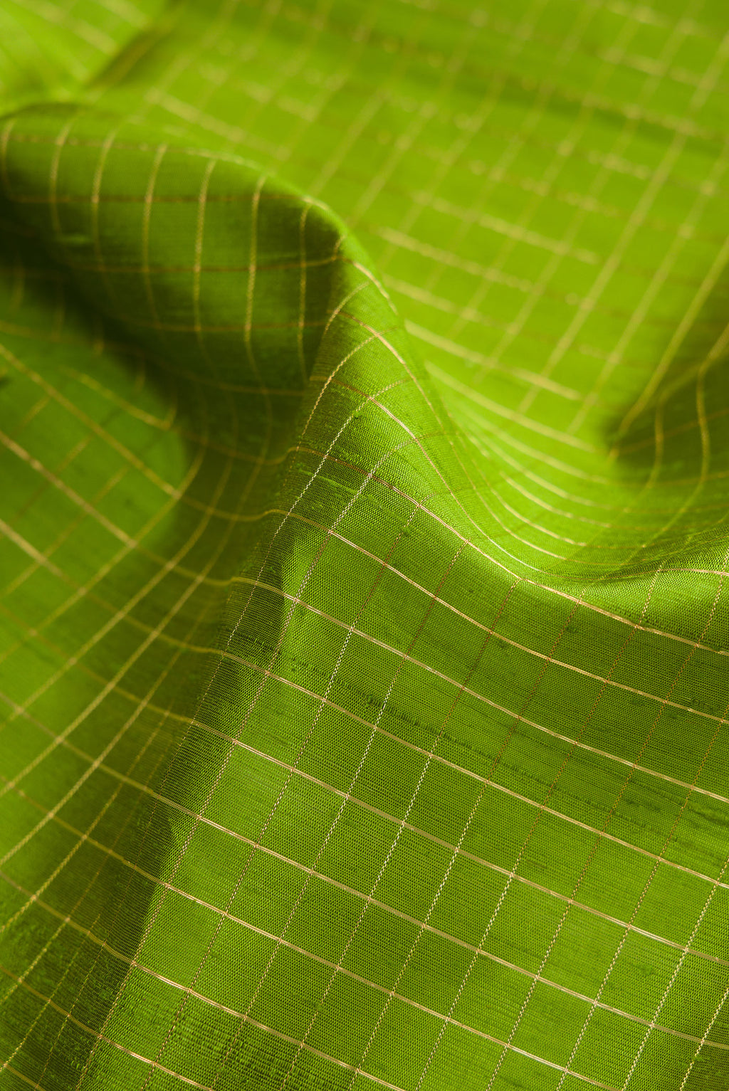 Close up of Green Dual Tone Raw Silk Saree with Checked design on the body and Zari Border.  displaying folds
