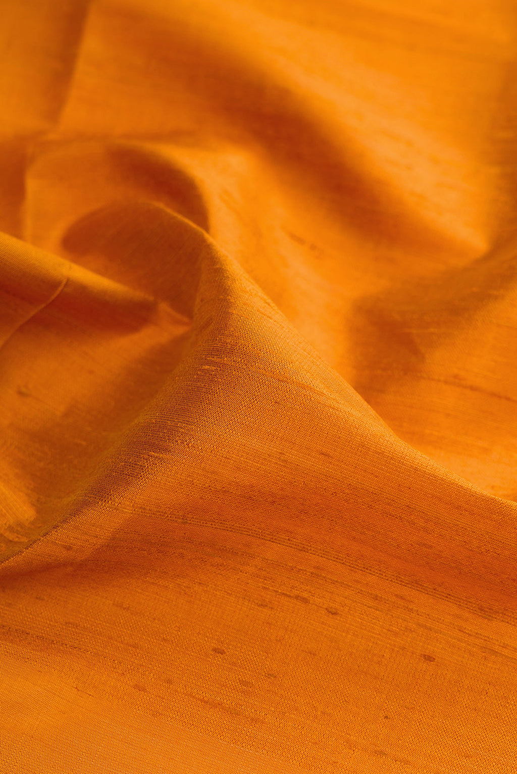 Close up of Mustard Raw Silk Saree with Plain Body and Zari Border.  displaying folds