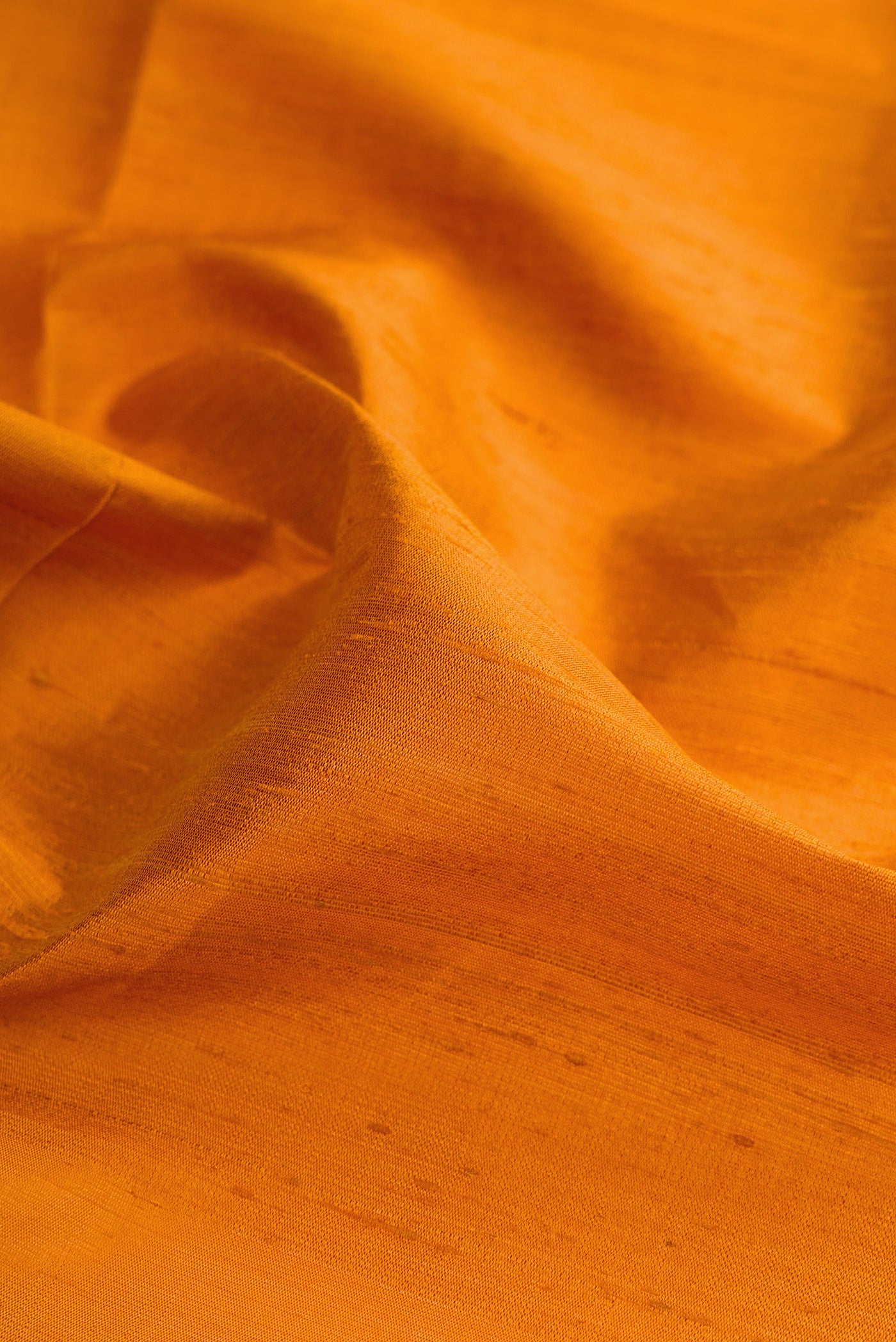 Close up of Mustard Raw Silk Saree with Plain Body and Zari Border.  displaying folds