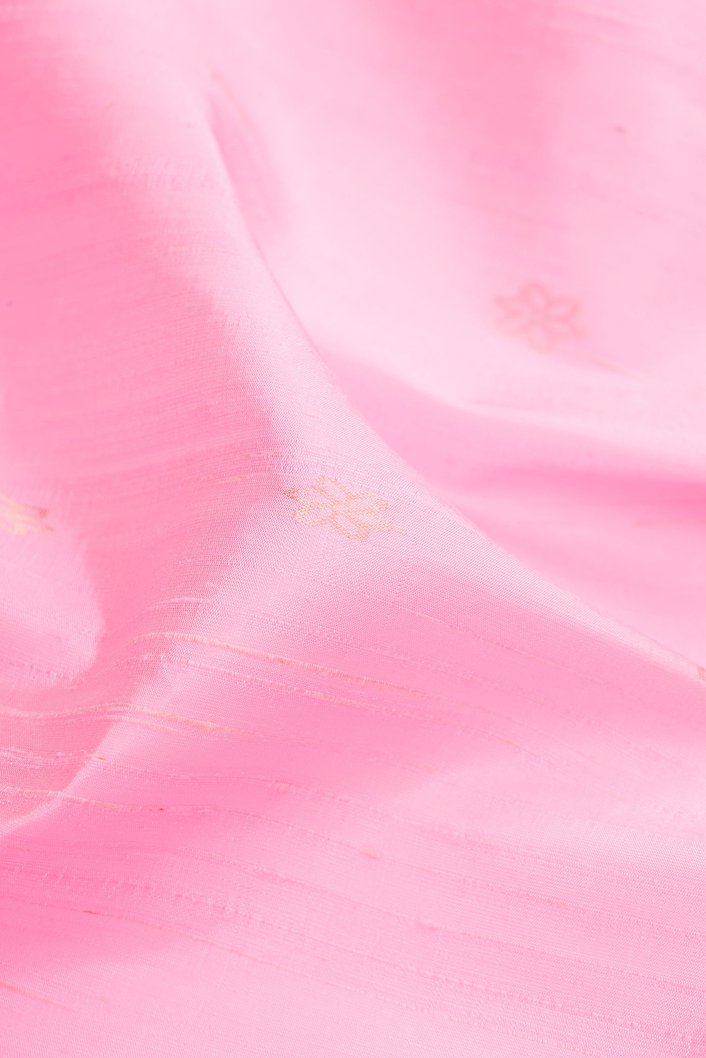 Close up of Rose pink Raw Silk Saree with Zari Butta on the body and Thin Zari Line.  displaying folds