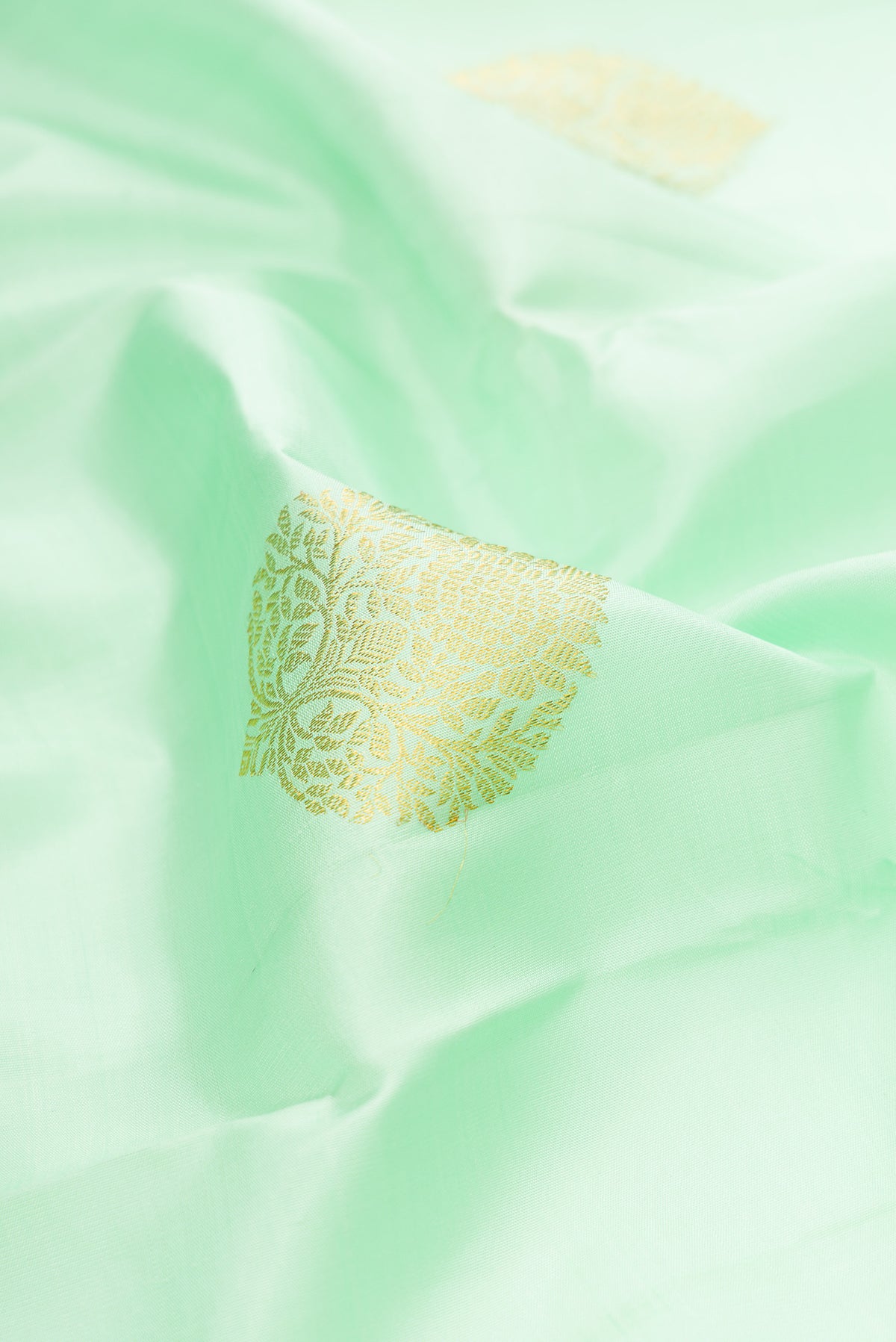 Close up of Pista Green Kanjivaram Silk Saree with Zari Butta on the body and Zari Border.  displaying folds
