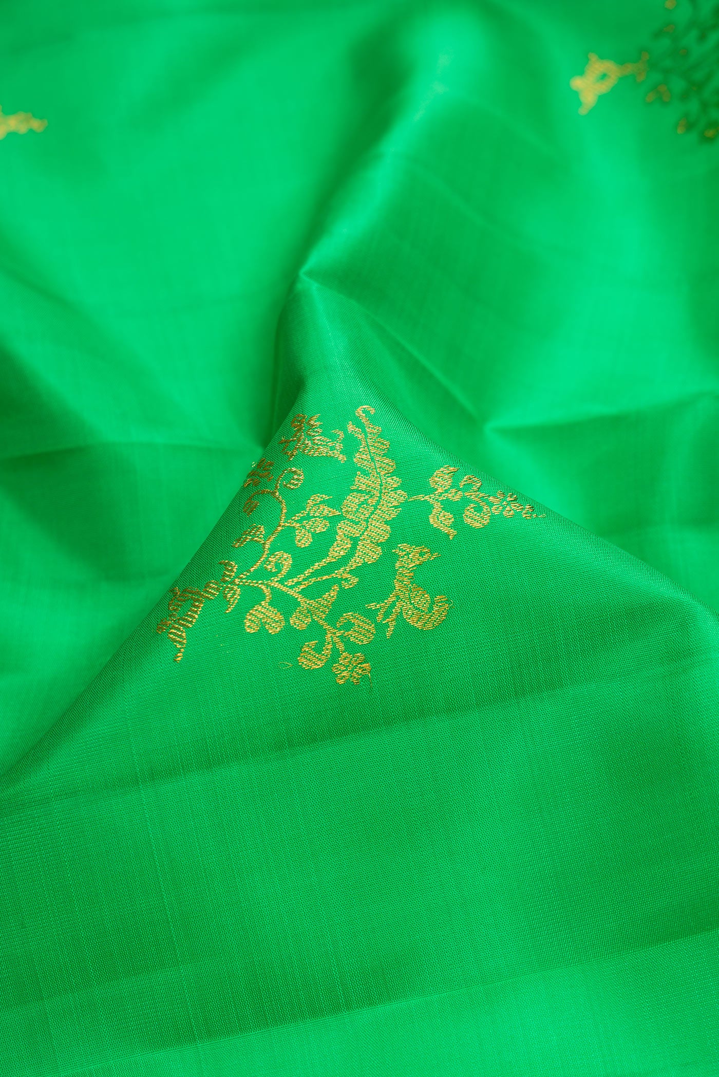 Close up of Green Kanchipuram Silk Saree with Zari Butta on the body and Fancy Border.  displaying folds