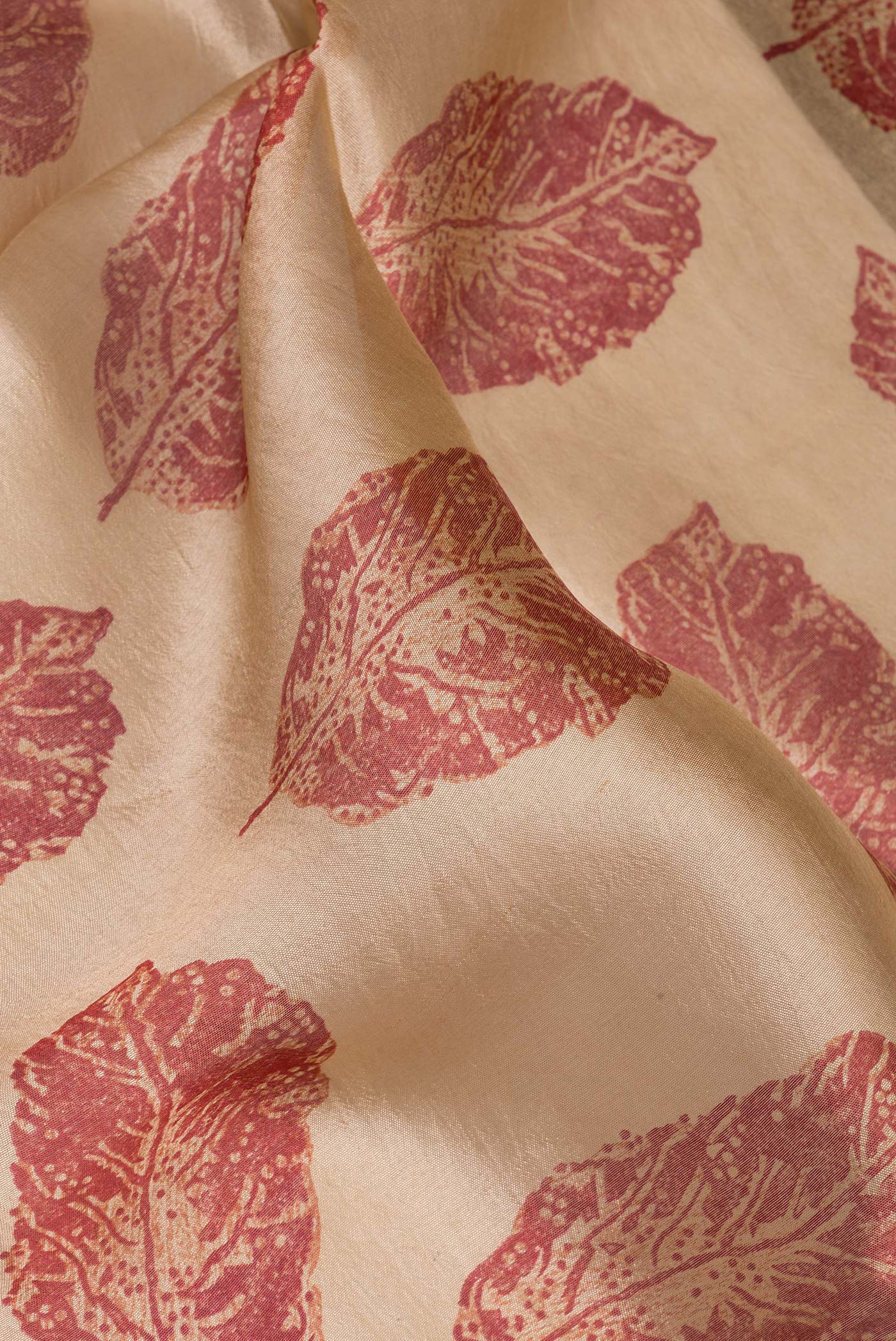 Close up of Pure Silk Beige Tussar Saree with Printed design on the body and Thread Border.  displaying folds