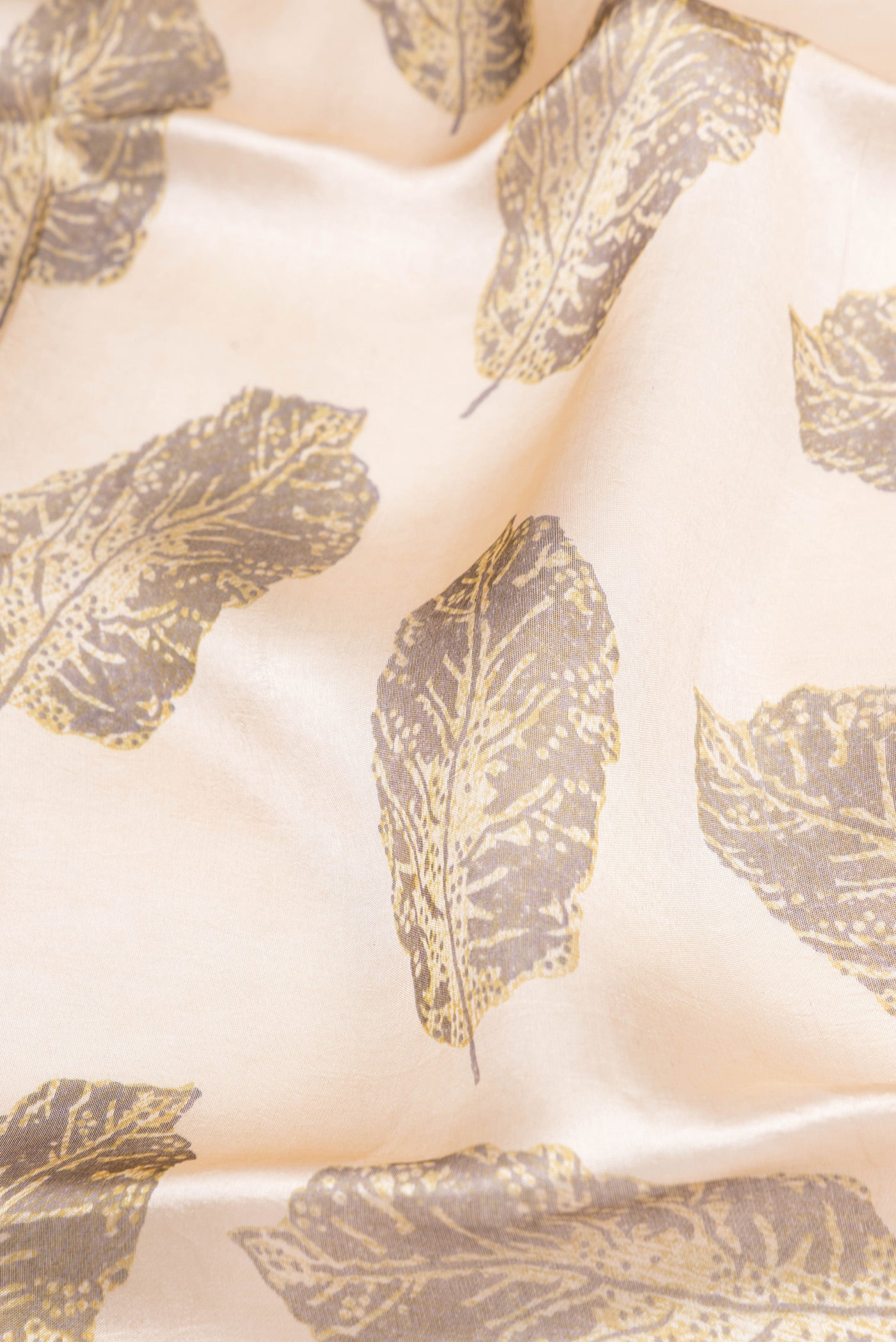 Close up of Beige Organza Silk Saree with Printed design on the body and Fancy Border.  displaying folds