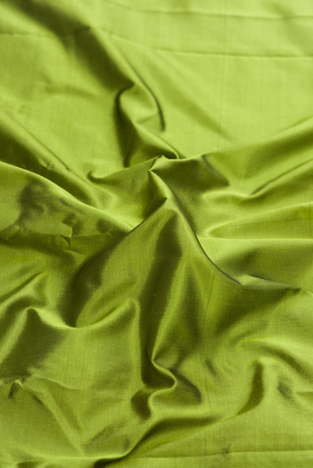 Close up of Pista Green Dual Tone Kanjivaram Silk Saree with Zari Butta on the body and Temple Border.  displaying folds