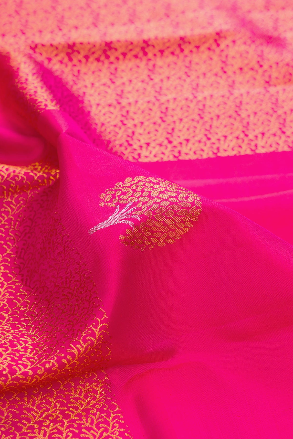 Close up of Dark Pink Dual Tone Kanjivaram Silk Saree with Zari Butta on the body and Without Border.  displaying folds