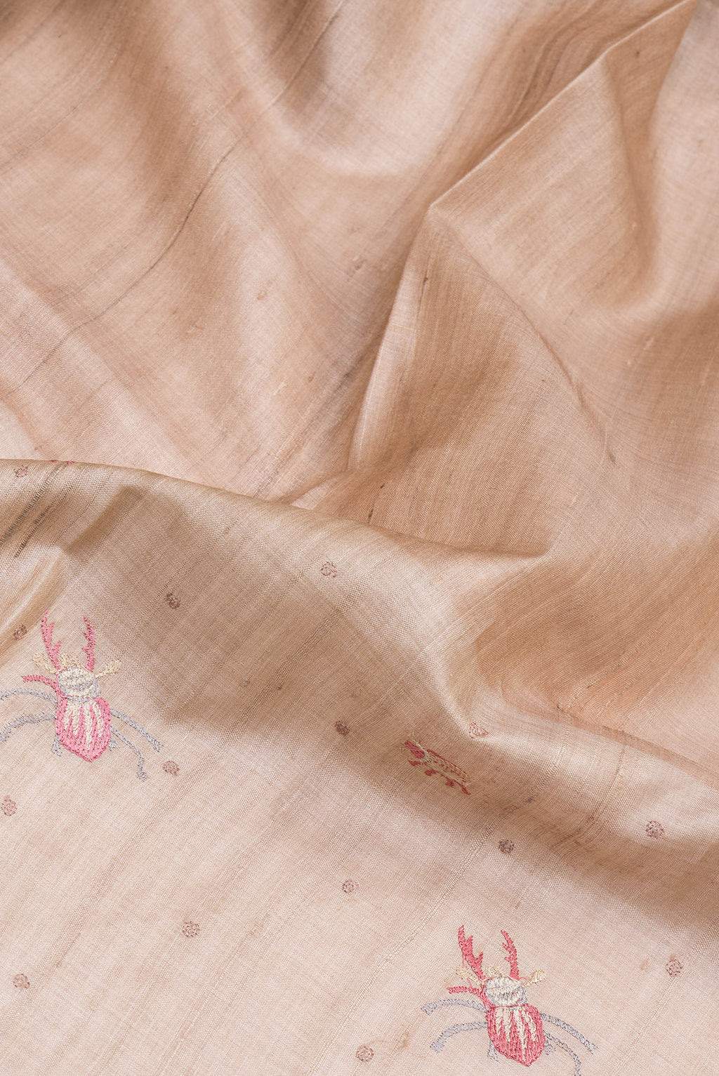 Close up of Beige Tussar Silk Saree with Embroidery on the body and Embroidery Border.  displaying folds