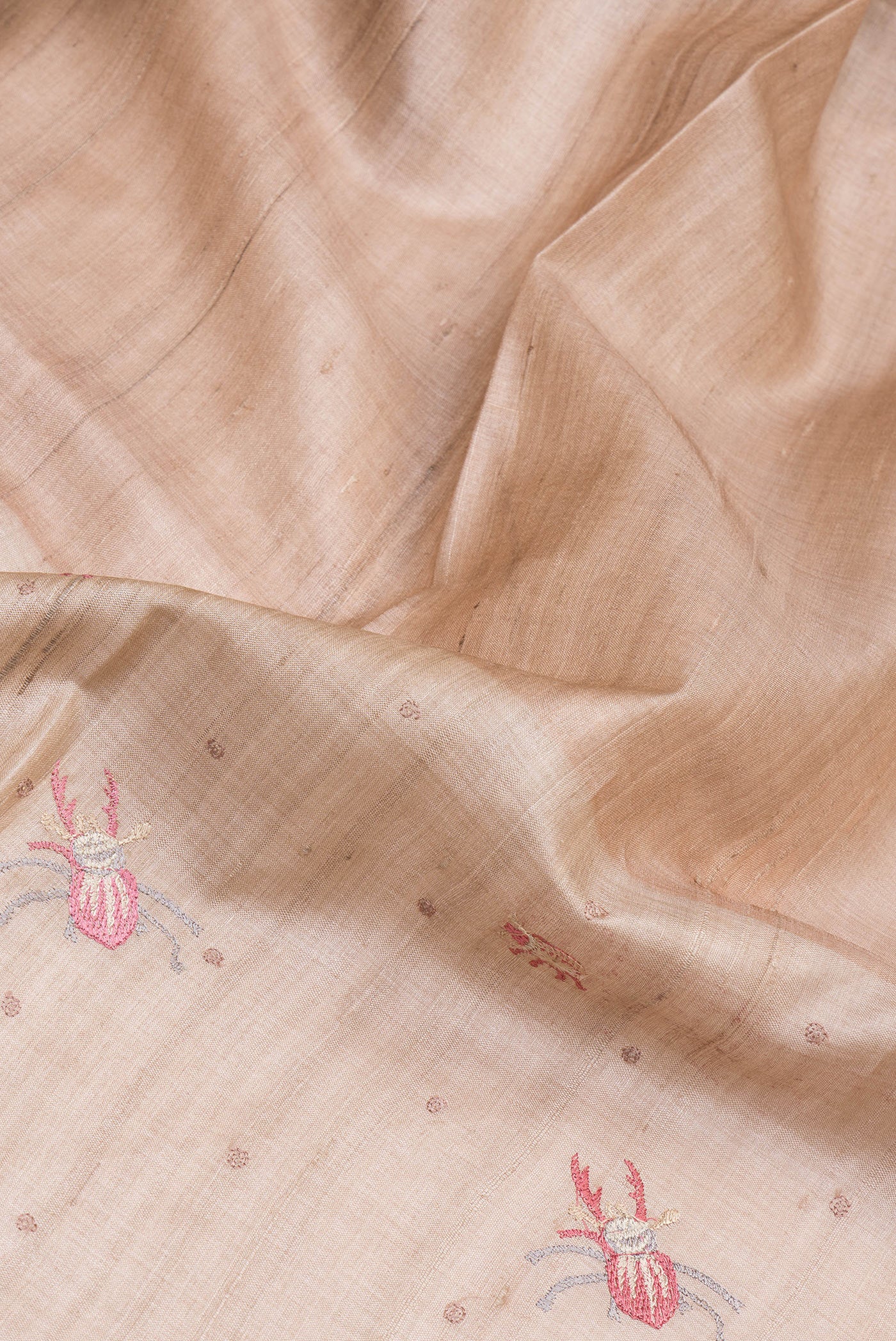 Close up of Beige Tussar Silk Saree with Embroidery on the body and Embroidery Border.  displaying folds