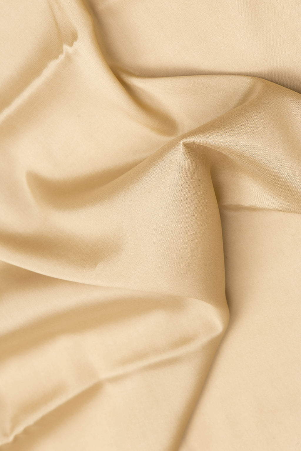 Close up of Beige Dual Tone Mysore Silk Saree with Plain Body and Zari Border.  displaying folds