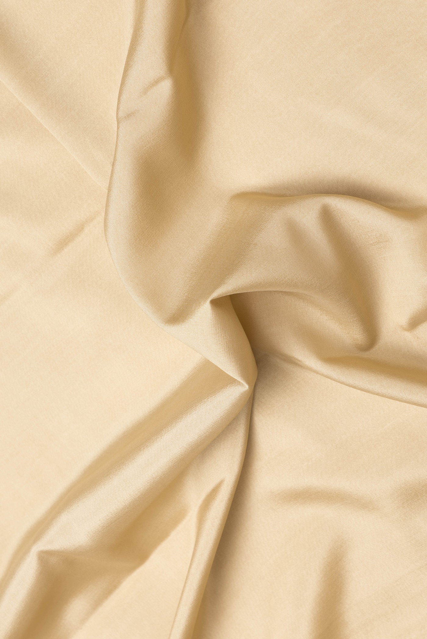 Close up of Beige Dual Tone Mysore Silk Saree with Plain Body and Fancy Border.  displaying folds