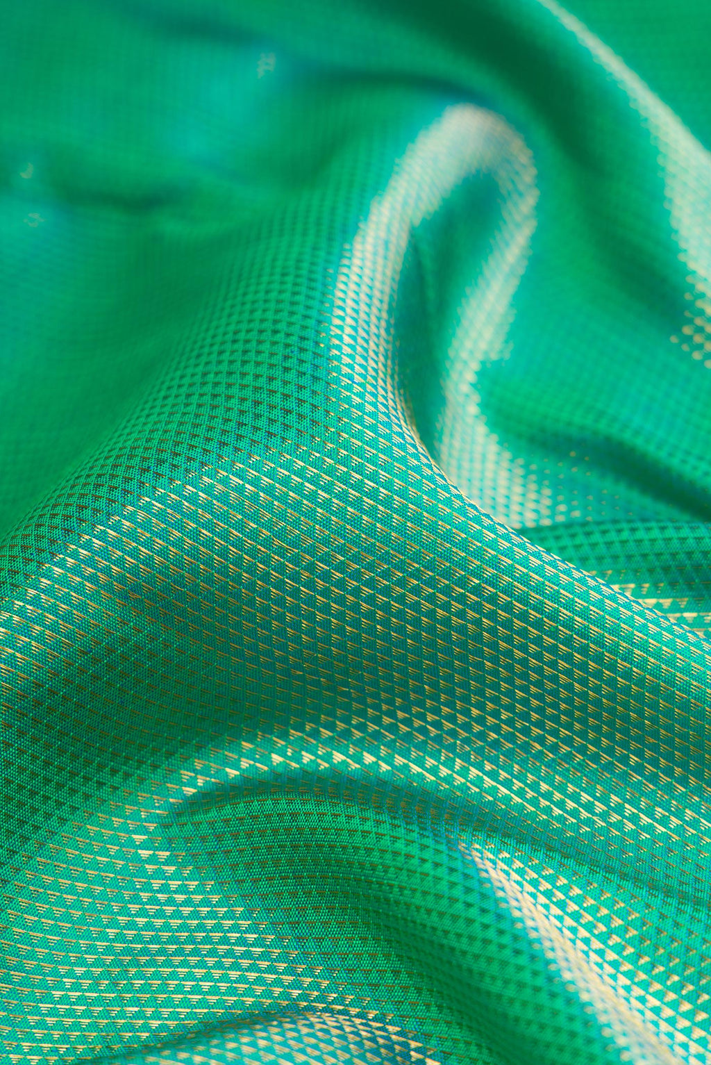Close up of Green Dual Tone Kanchipuram Silk Saree with Zari Brocade on the body and Fancy Border.  displaying folds