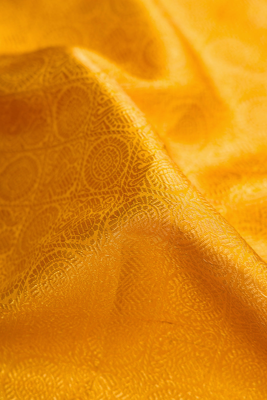 Close up of Yellow Dual Tone Kanchipuram Silk Saree with Zari Brocade on the body and Zari Border.  displaying folds