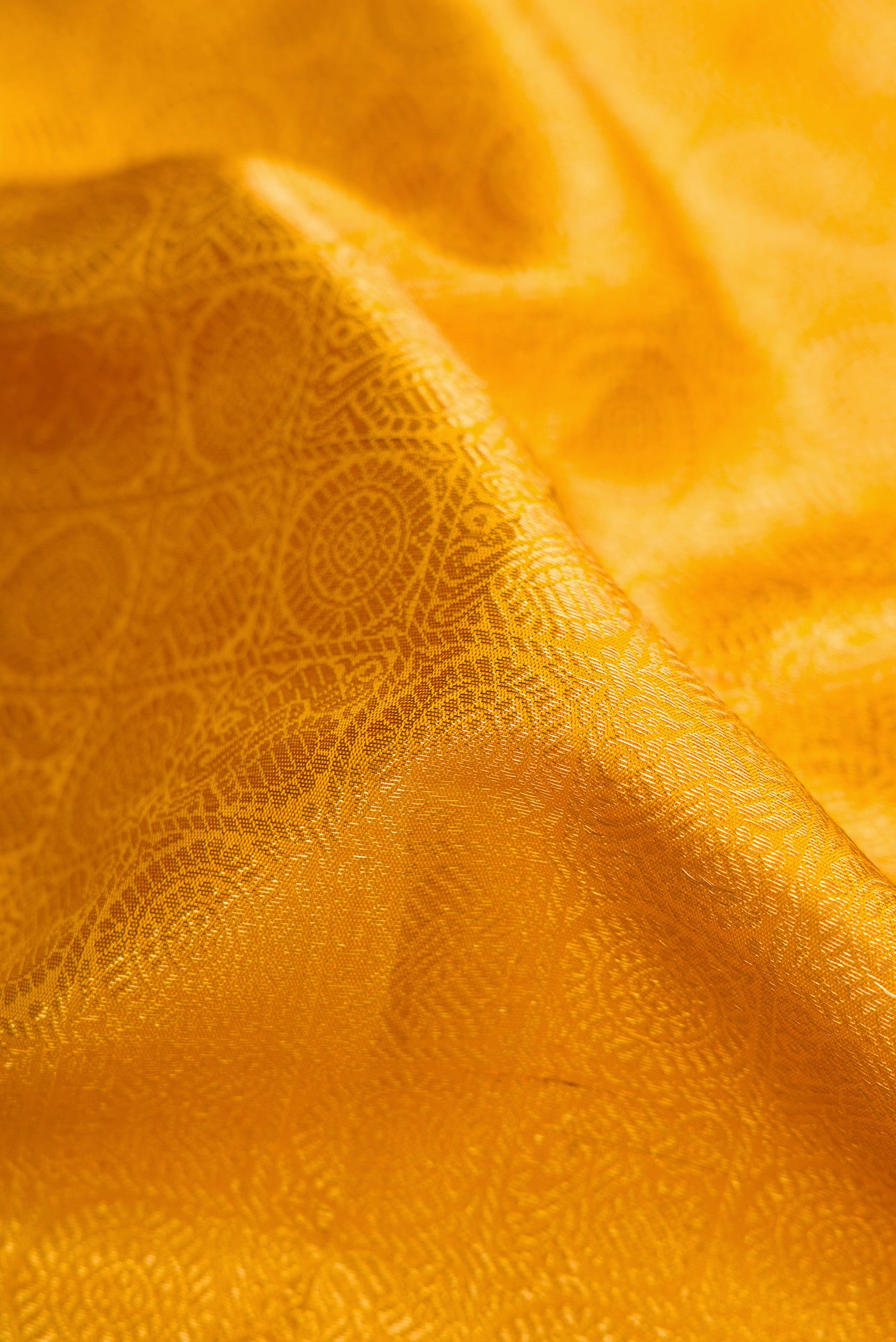 Close up of Yellow Dual Tone Kanchipuram Silk Saree with Zari Brocade on the body and Zari Border.  displaying folds