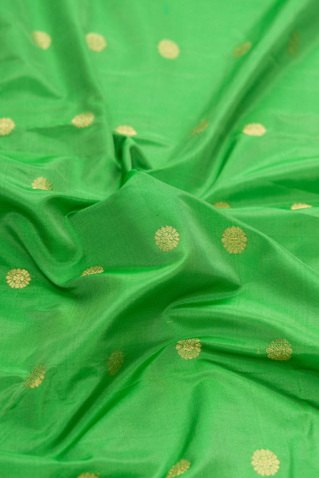 Close up of Parrot Green Dual Tone Blended Paithani Silk Saree with Zari Butta on the body and Paithani Border.  displaying folds