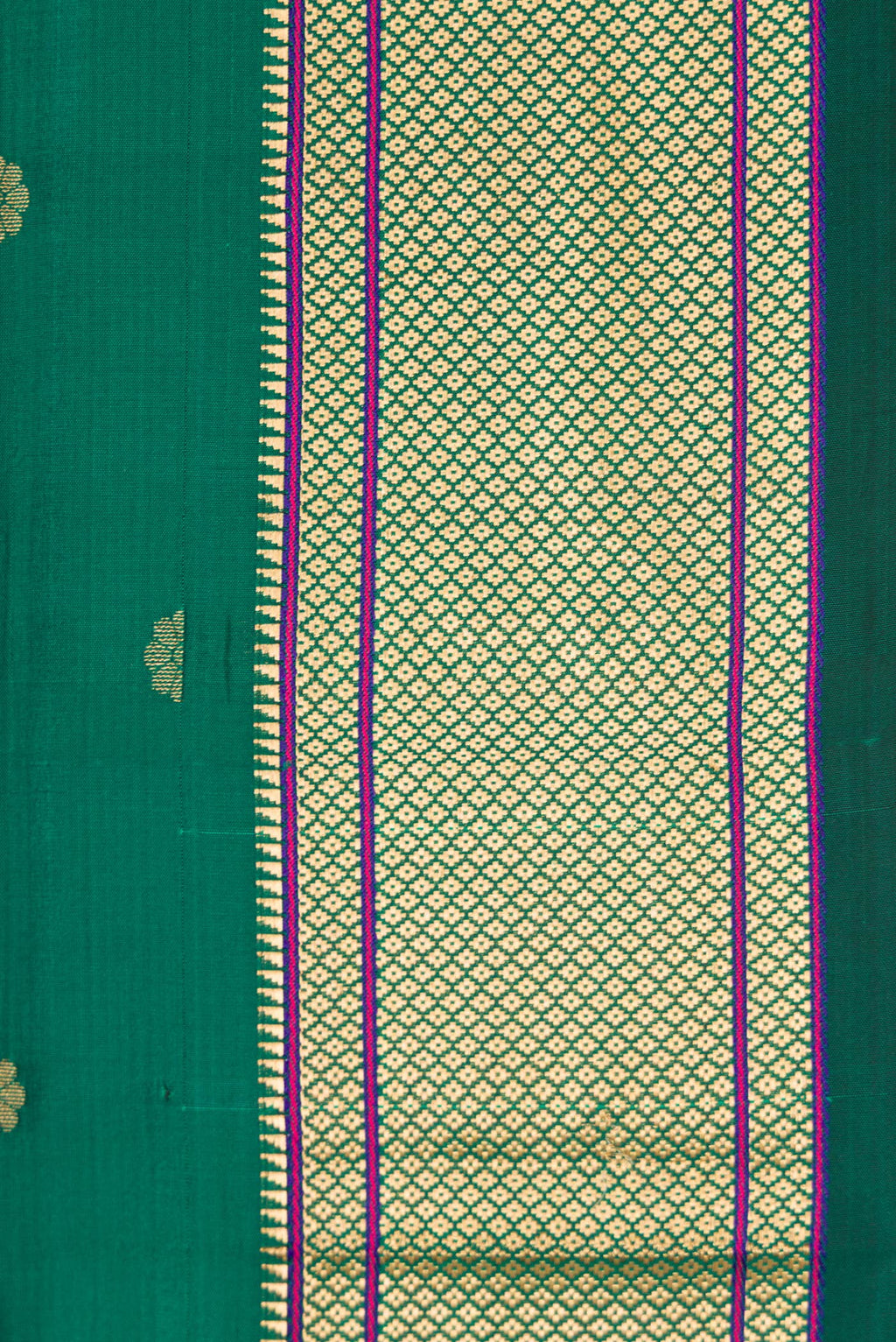 Border image of Green Dual Tone Blended Paithani Silk Saree with Zari Butta on the body and Zari Border. 