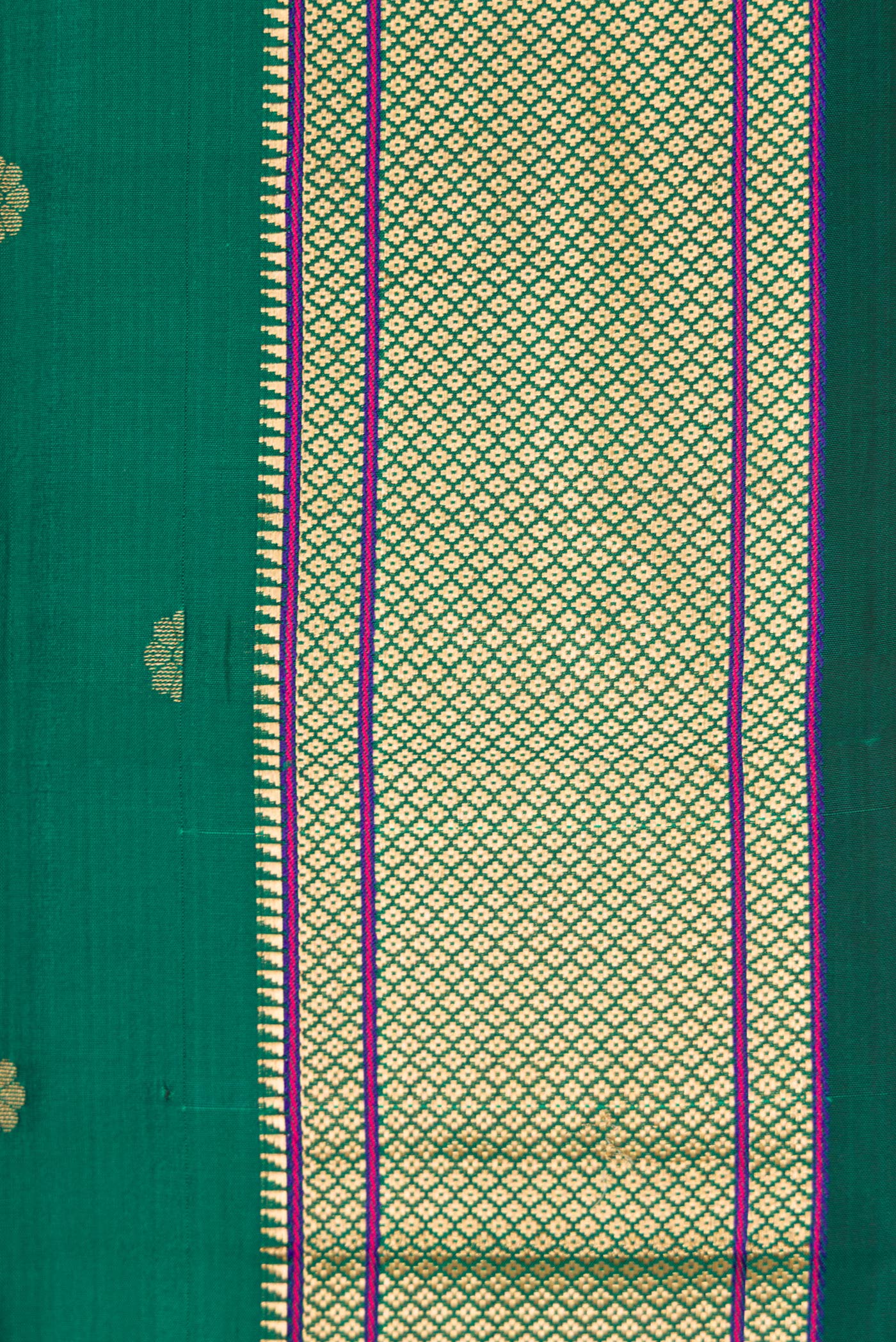 Border image of Green Dual Tone Blended Paithani Silk Saree with Zari Butta on the body and Zari Border. 