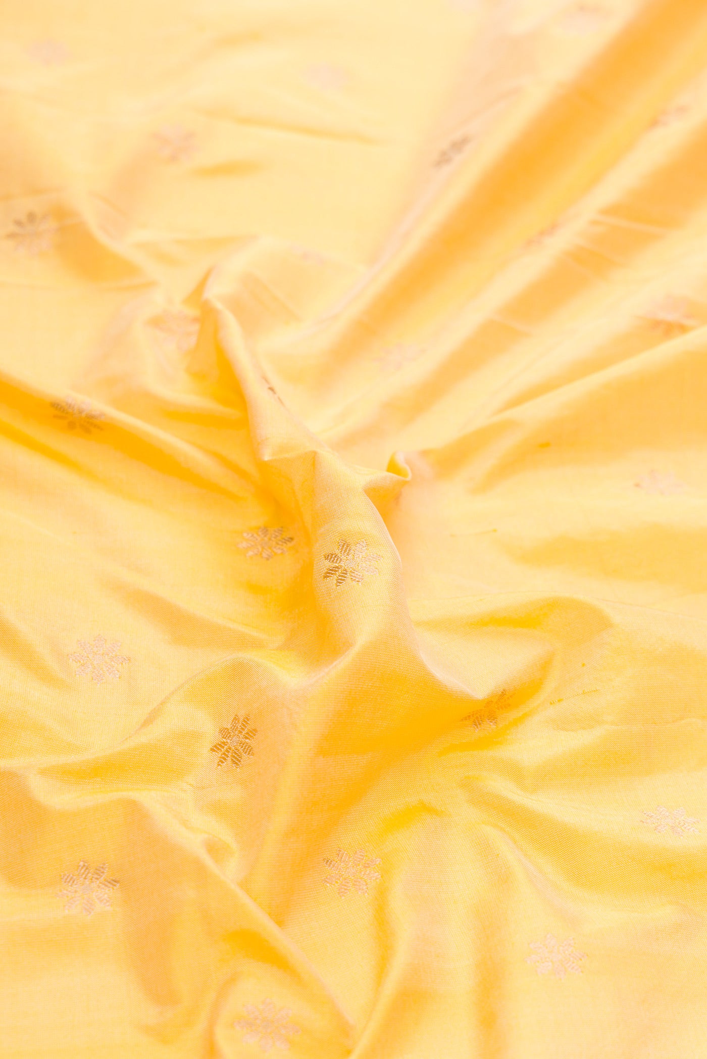 Close up of Sandal Dual Tone Paithani Silk Saree with Zari Butta on the body and Paithani Border.  displaying folds