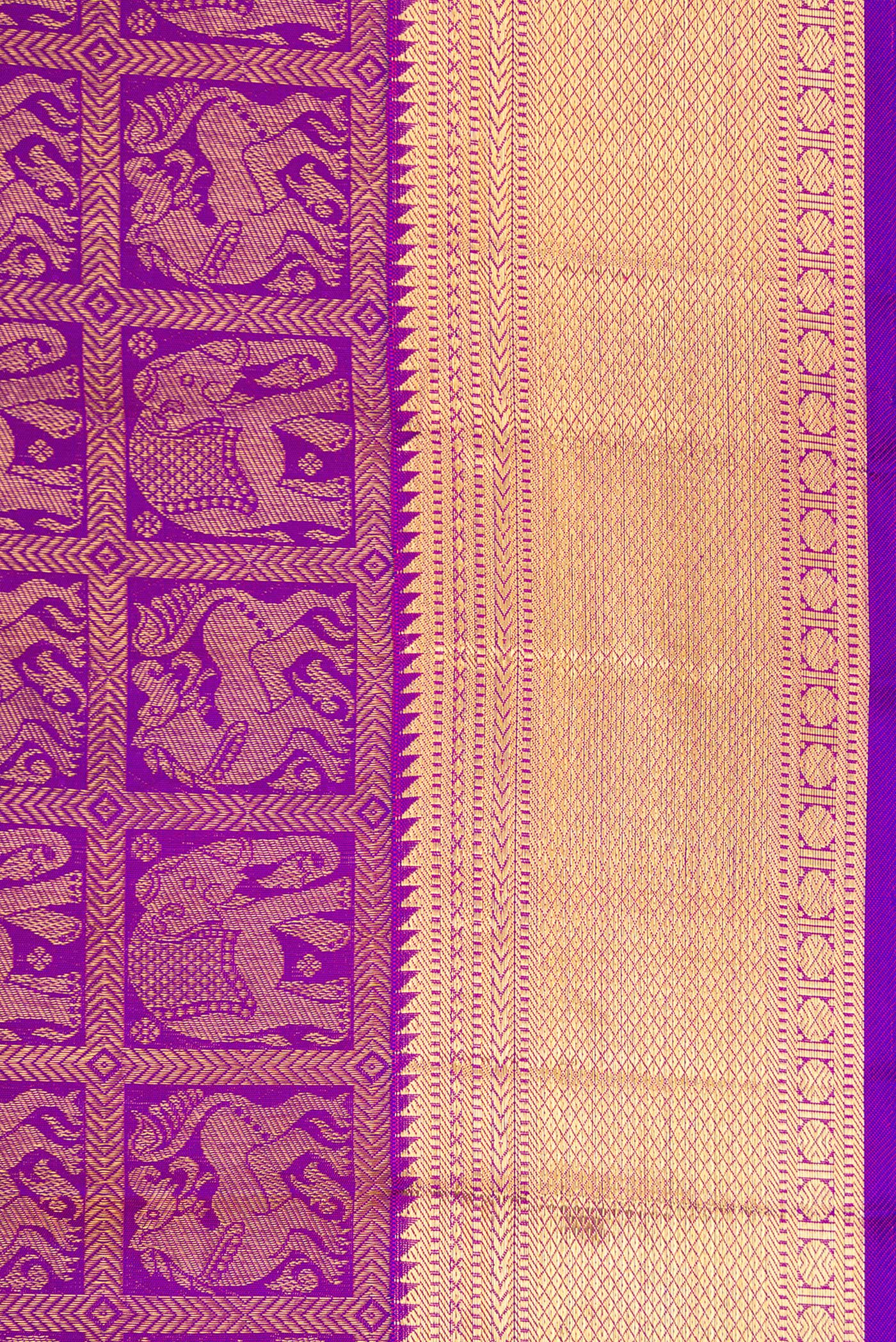 Border image of Violet Dual Tone Kanchipuram Silk Saree with Zari Brocade on the body and Zari Border. 