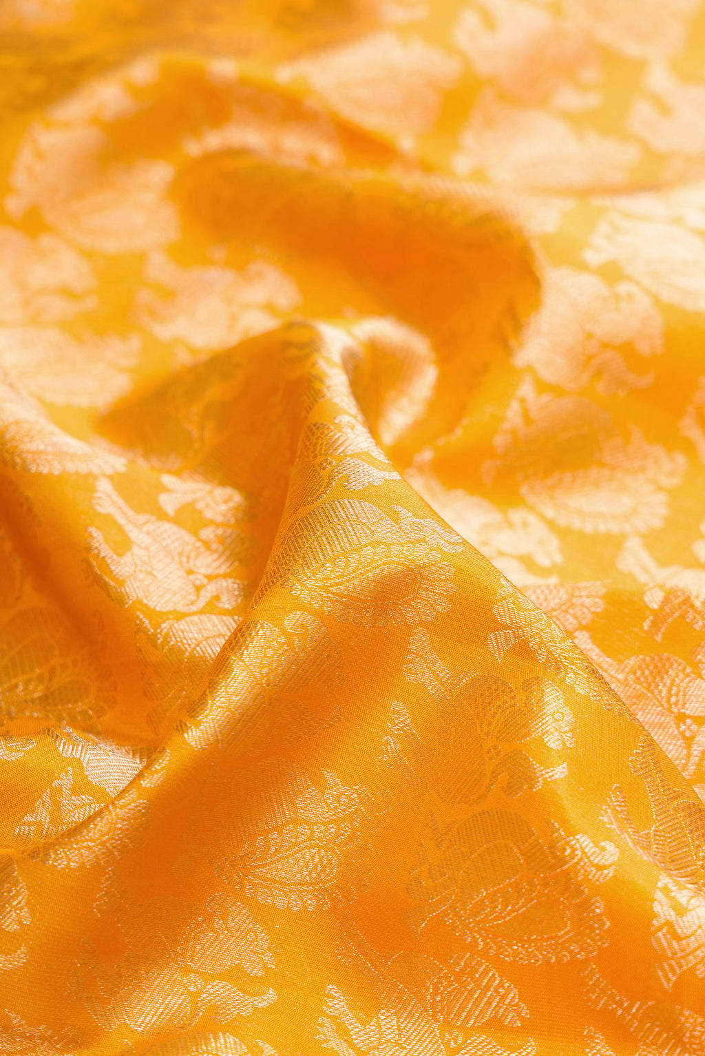Close up of Mustard Kanchipuram Silk Saree with Zari Brocade on the body and Zari Border.  displaying folds