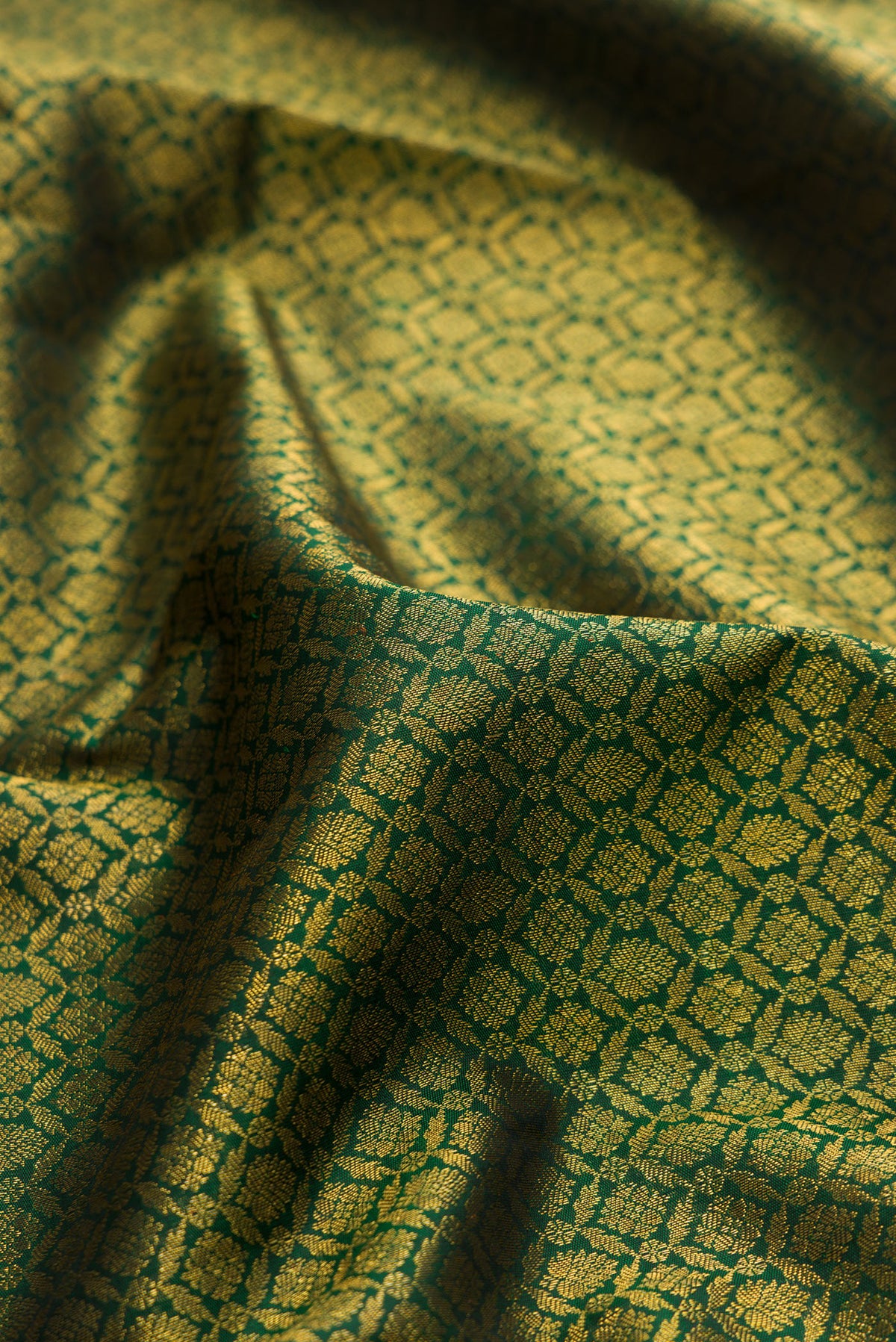 Close up of Pure Silk Bottle Green Kanchipuram Saree with Zari Brocade on the body and Zari Border.  displaying folds
