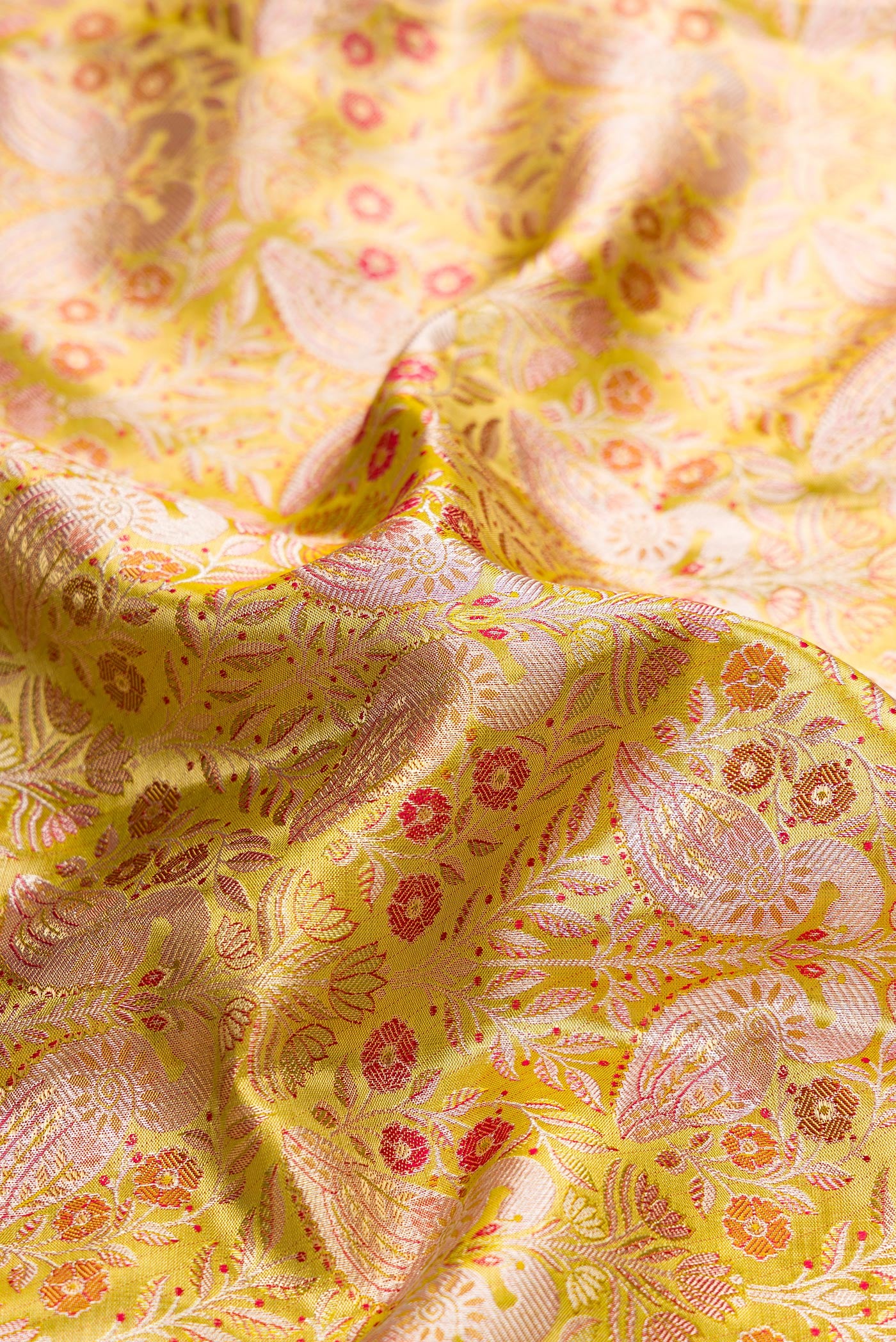 Close up of Light Green Dual Tone Kanchipuram Tissue Silk Saree with Zari Brocade on the body and Zari Border.  displaying folds