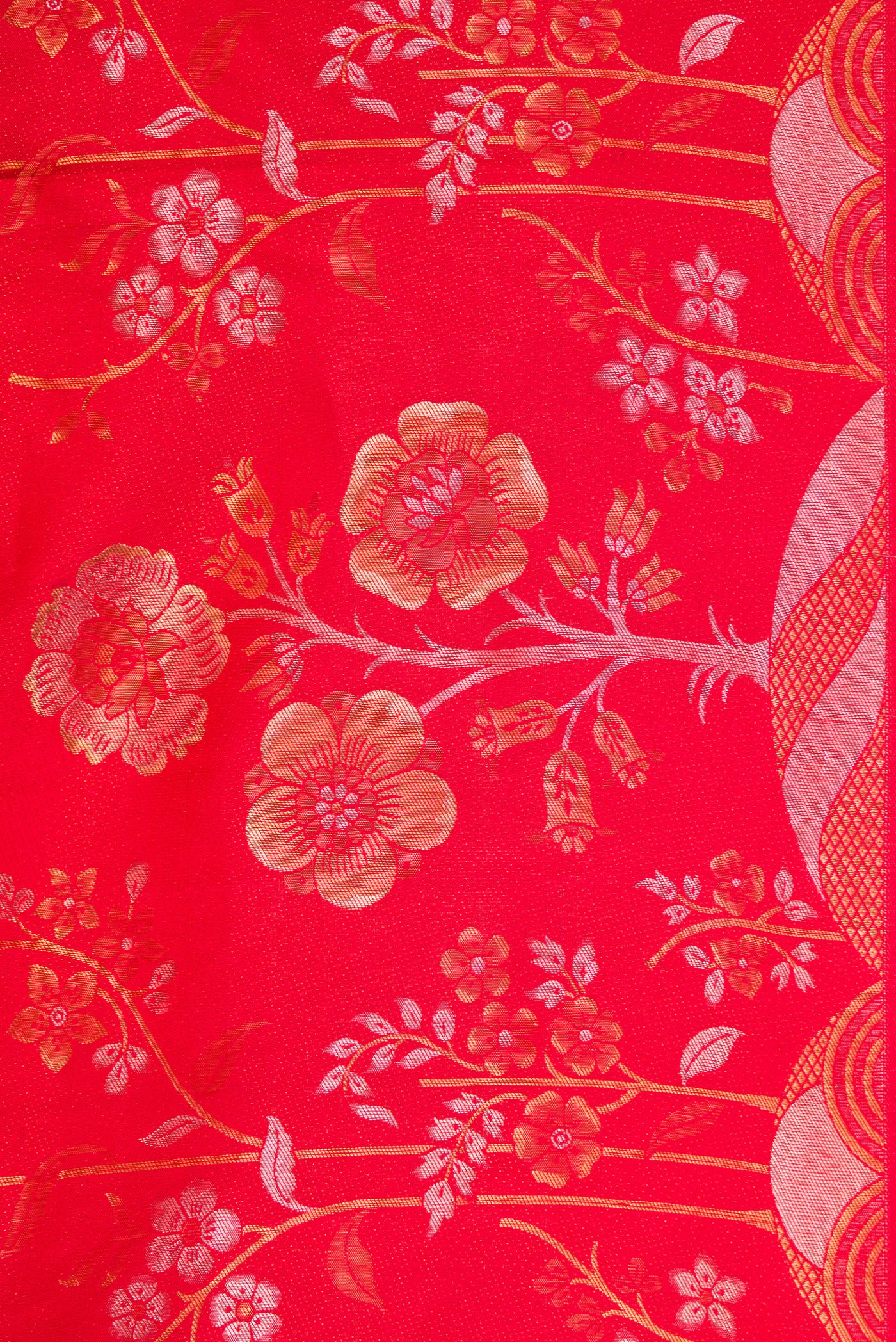 Border image of Red Dual Tone Kanchipuram Silk Saree with Zari Brocade on the body and Fancy Border. 