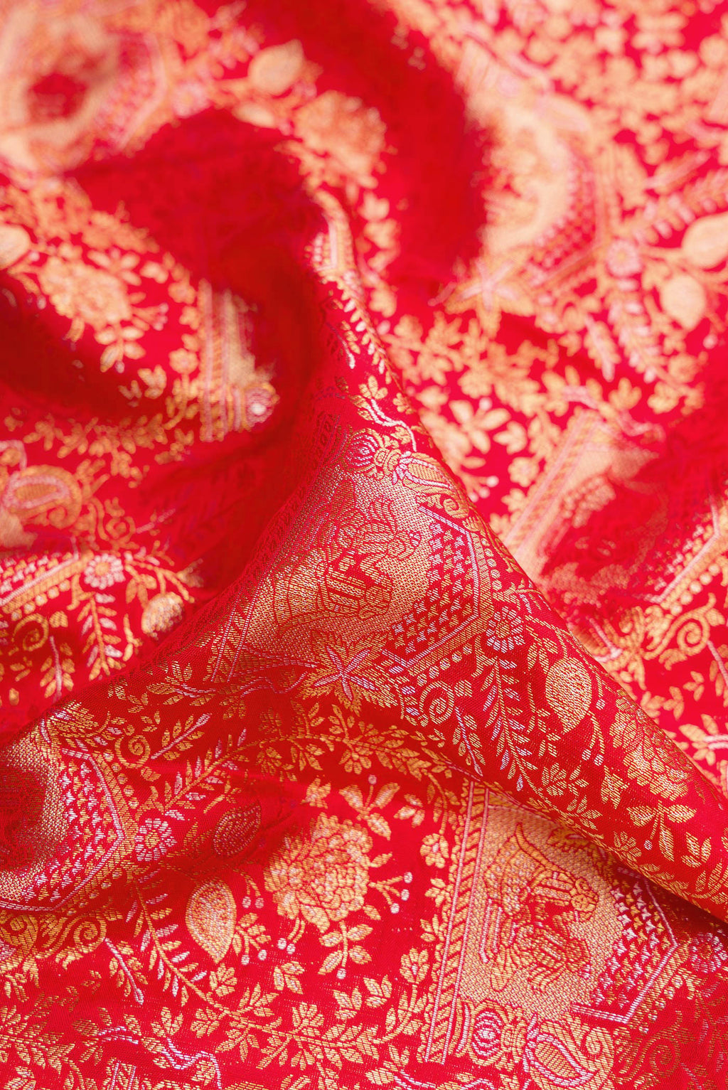 Close up of Red Dual Tone Kanchipuram Silk Saree with Zari Brocade on the body and Zari Border.  displaying folds
