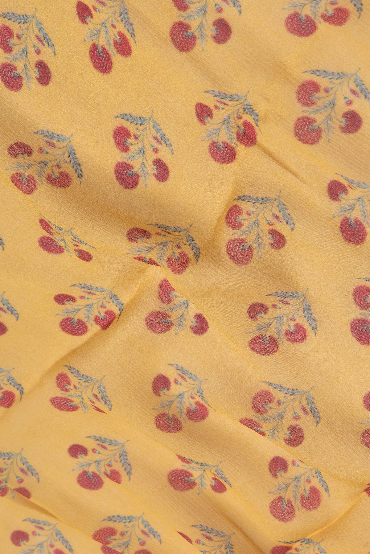 Close up of Mustard Mysore Chiffon Saree with Printed design on the body and Zari Border.  displaying folds