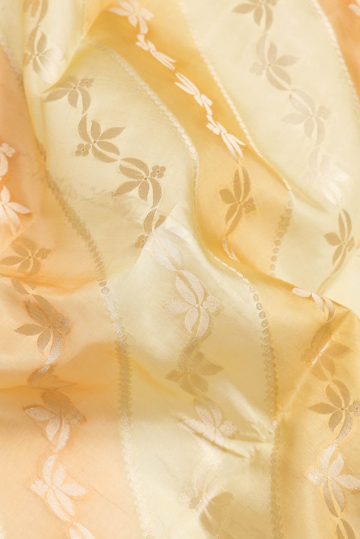 Close up of Yellow Dual Tone Banarasi Raw Silk Saree with Zari Brocade on the body and Zari Border.  displaying folds